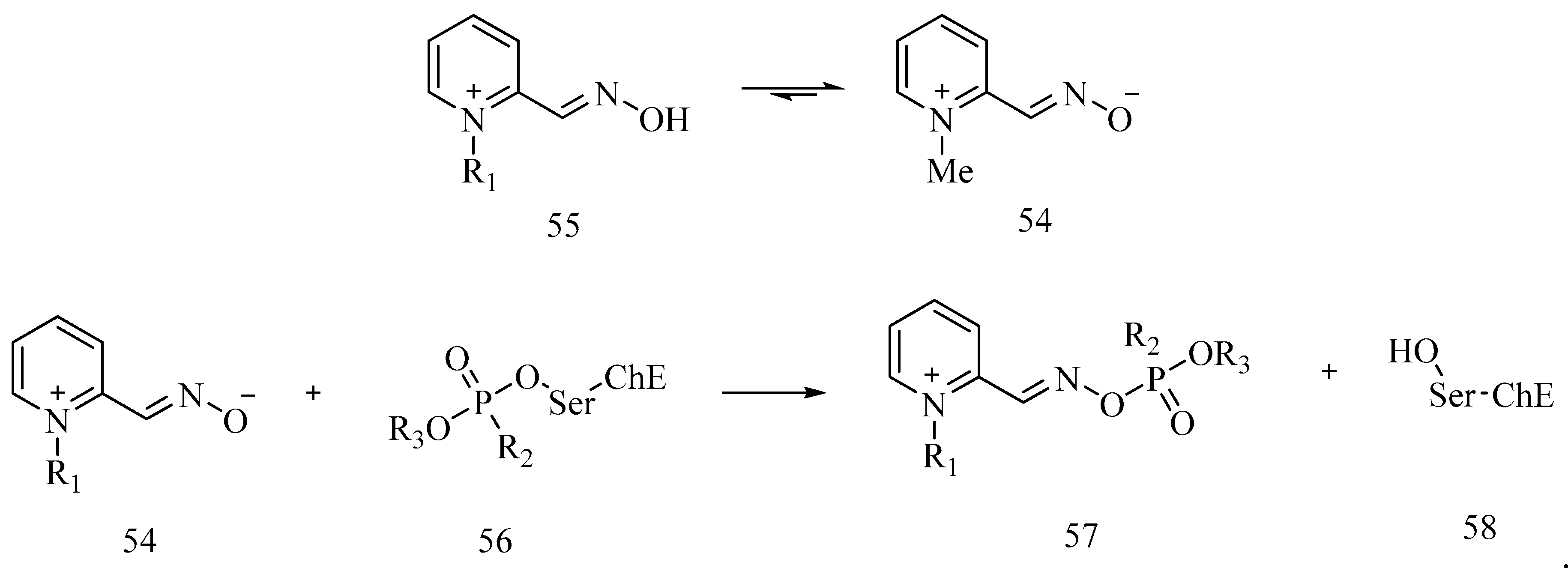 Biomolecules 10 00414 sch006 Biomolecules 10 00414 sch006