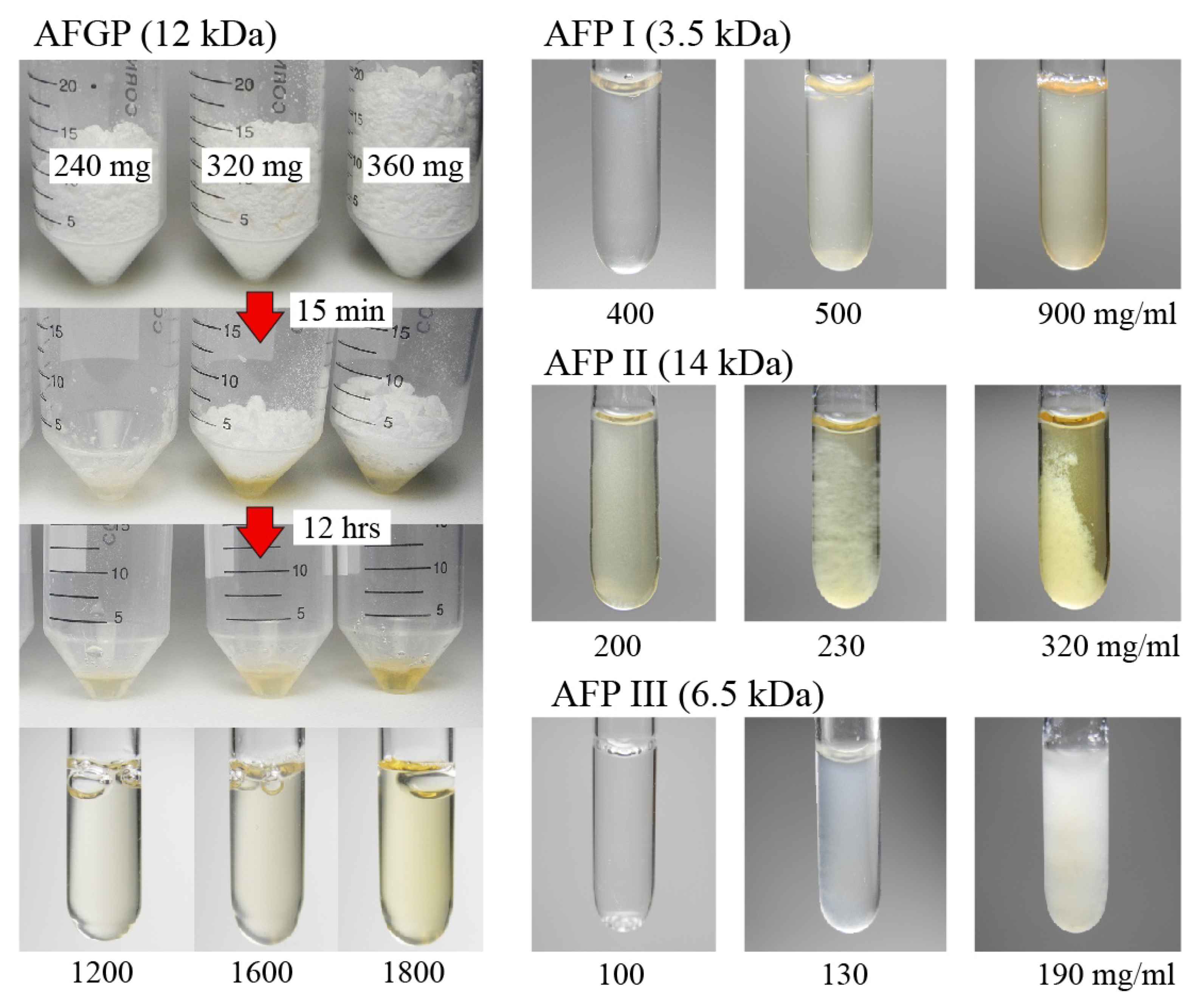 Biomolecules 10 00423 g001