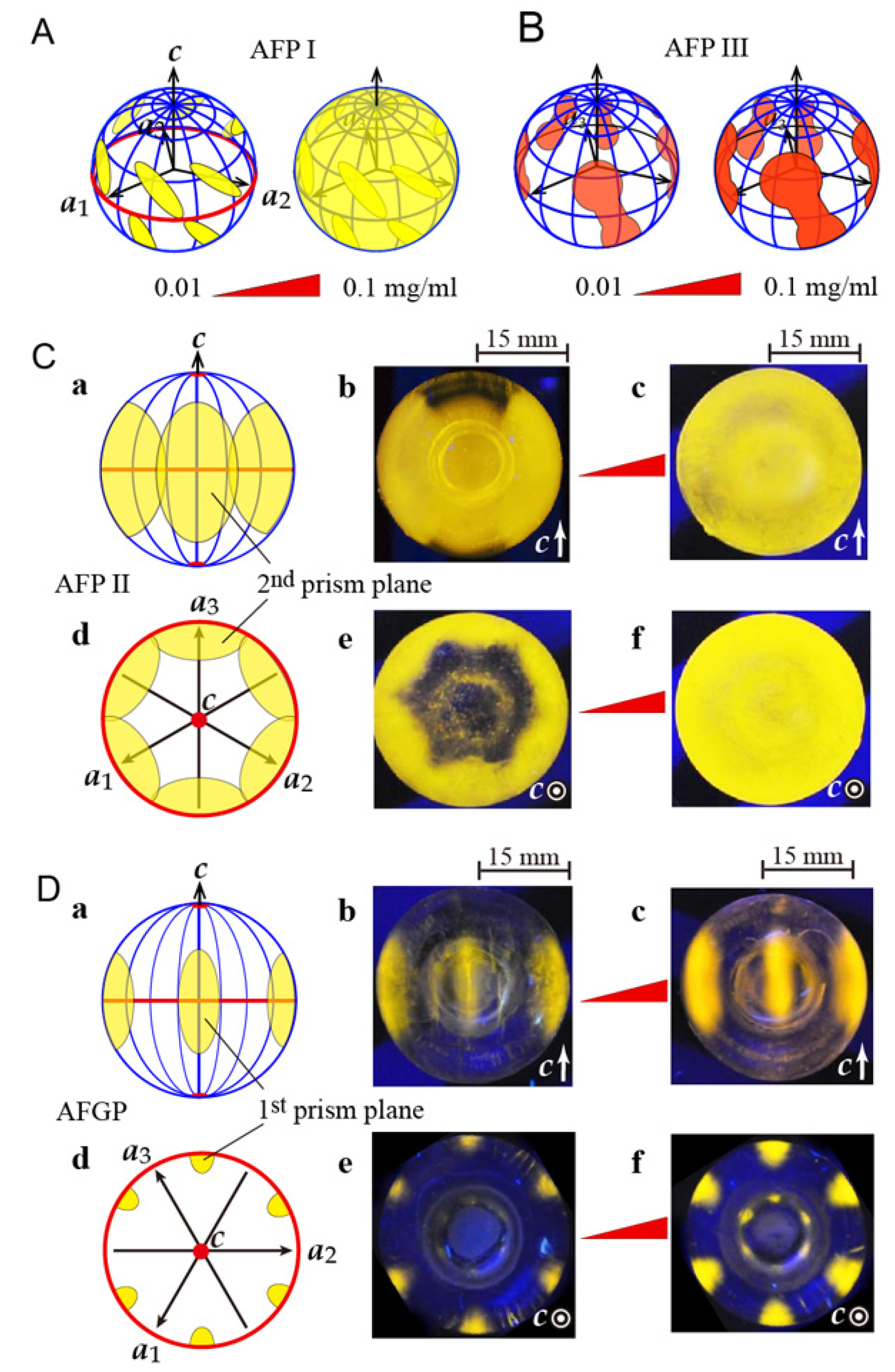 Biomolecules 10 00423 g003