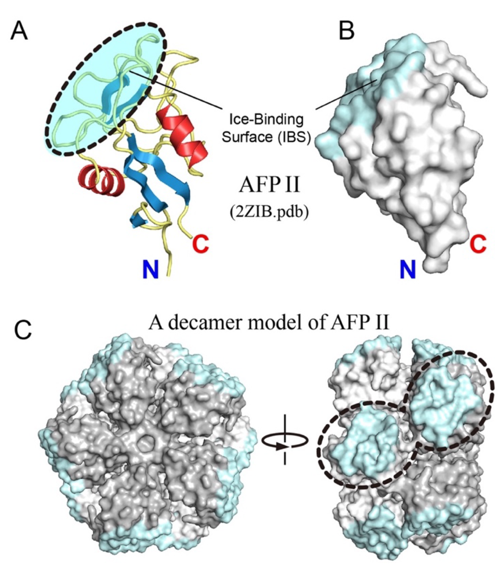 Biomolecules 10 00423 g005