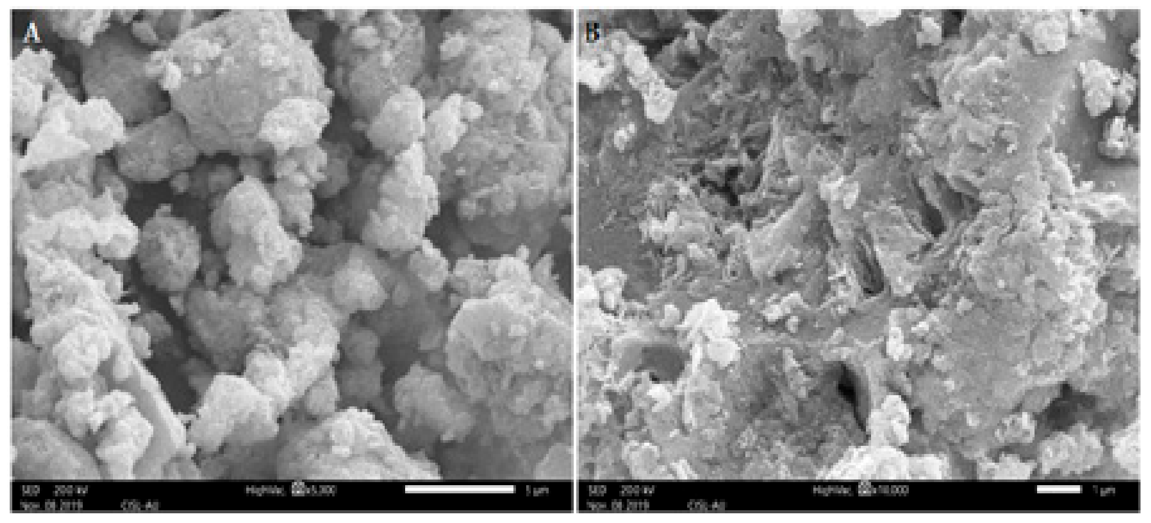 Biomolecules 10 00425 g004