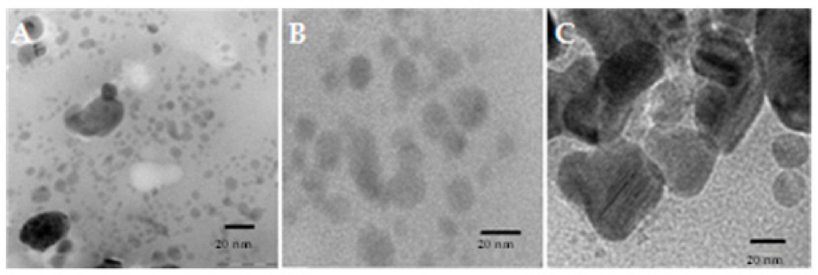 Biomolecules 10 00425 g005