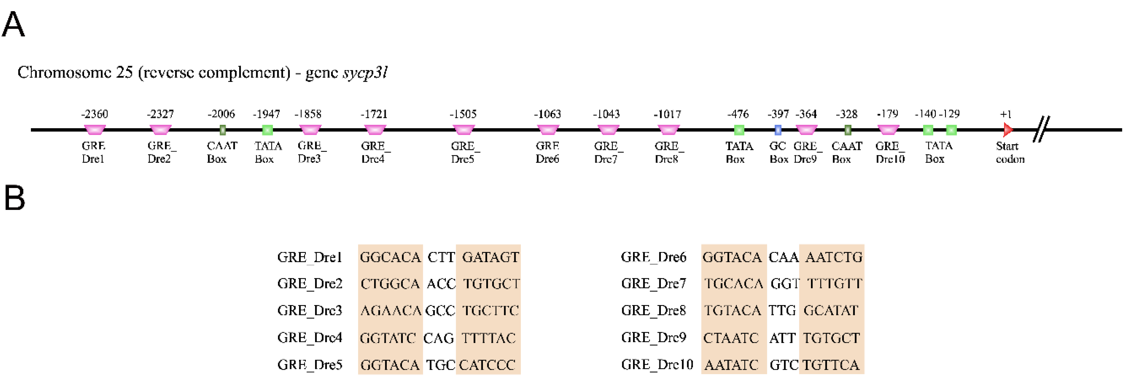 Biomolecules 10 00429 g006 Biomolecules 10 00429 g006