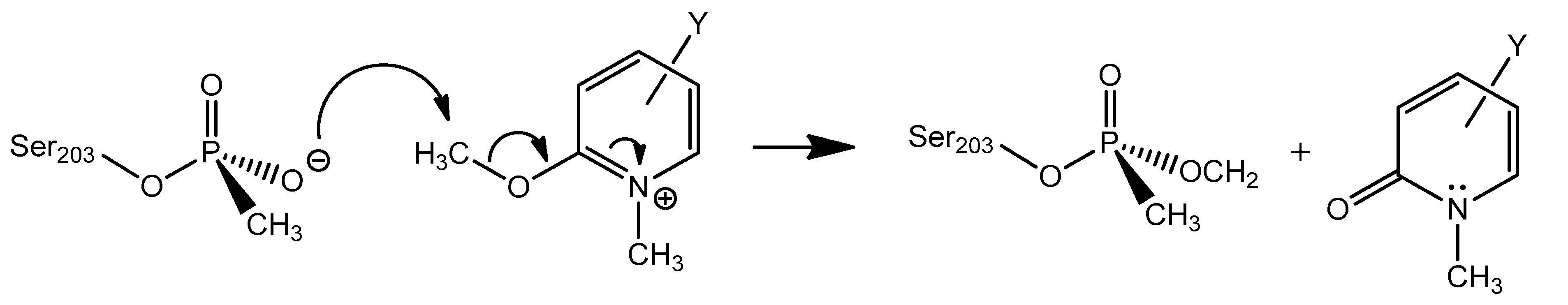Biomolecules 10 00436 g014 Biomolecules 10 00436 g014