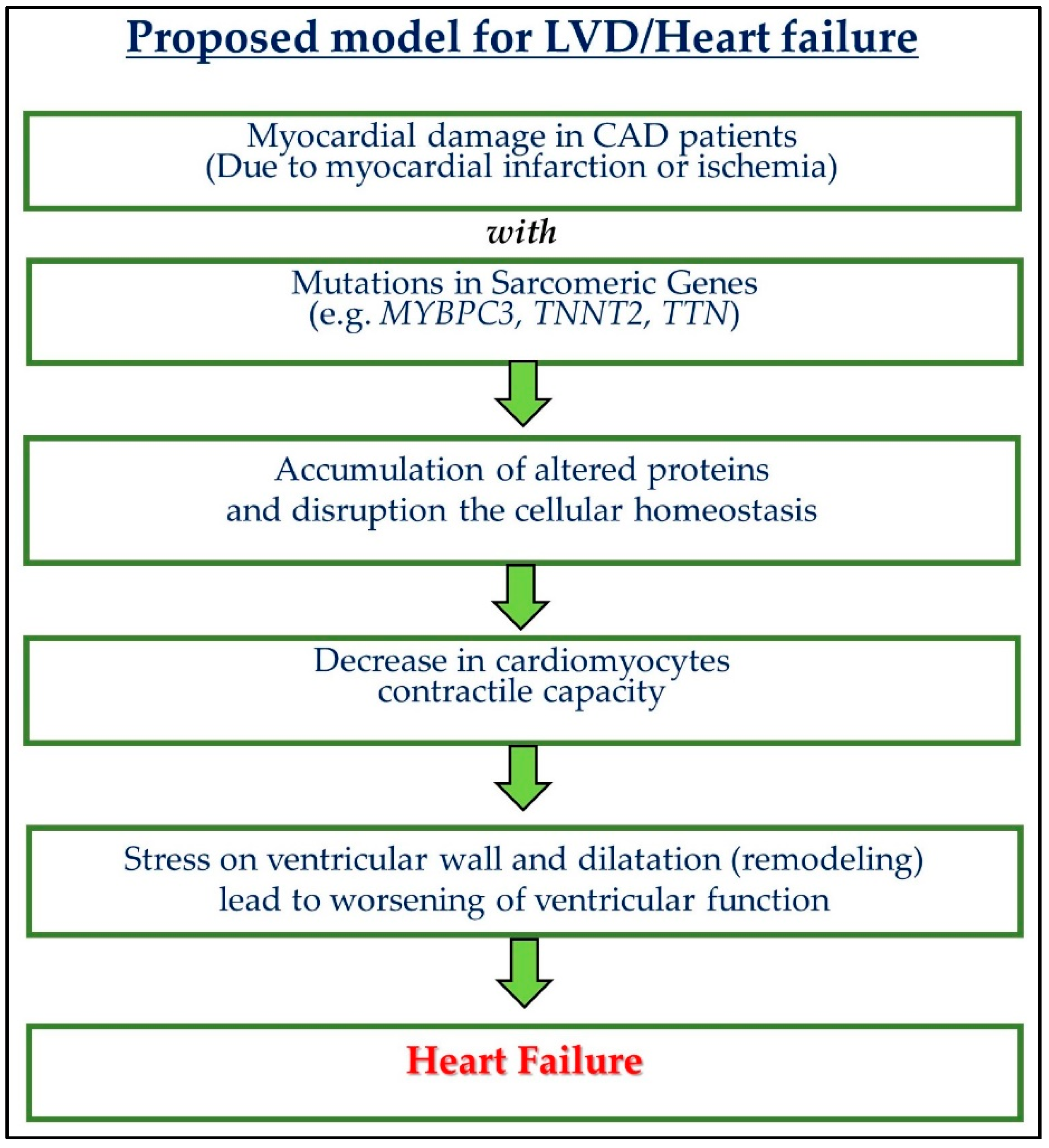 Biomolecules 10 00442 g002