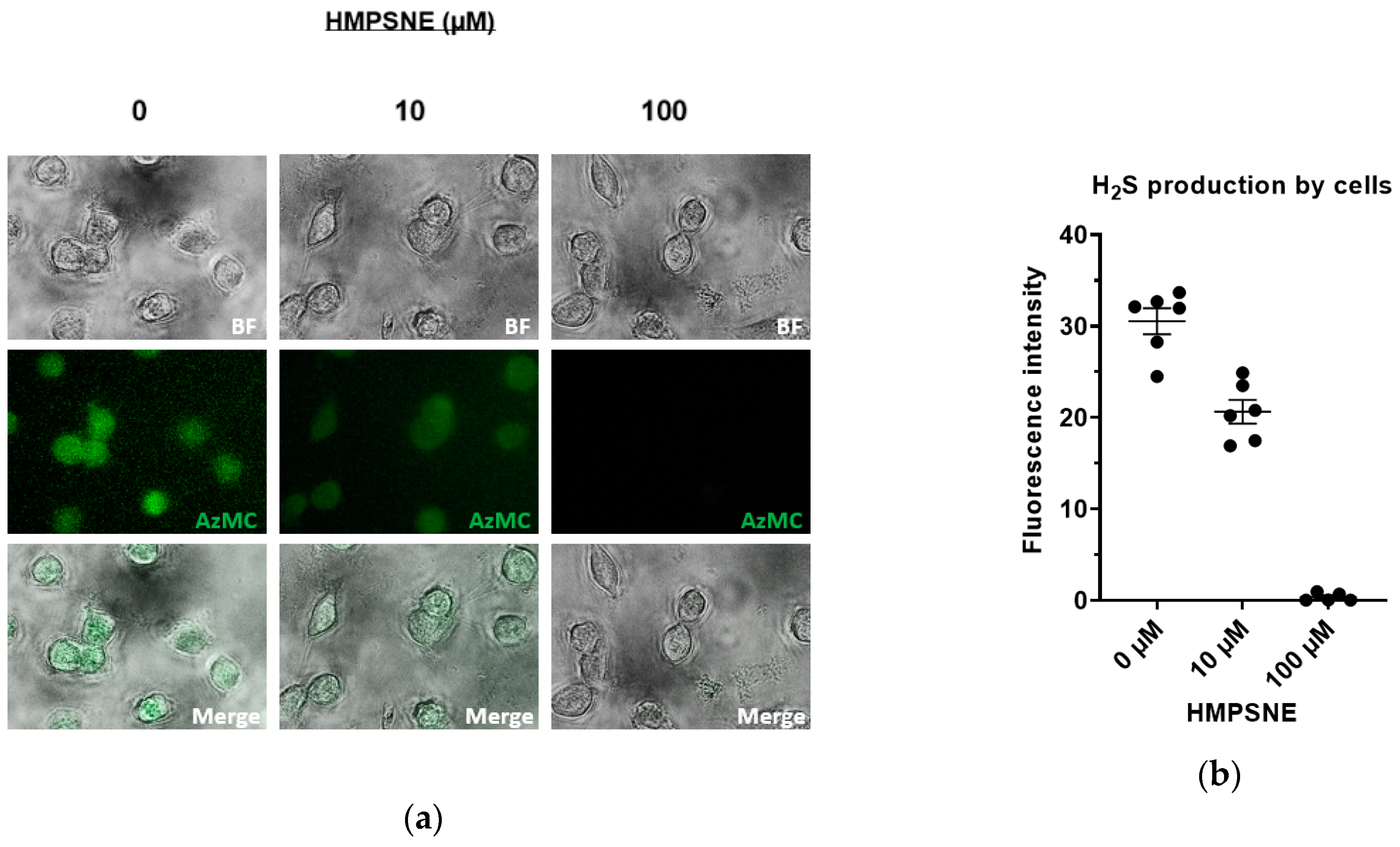 Biomolecules 10 00447 g004 Biomolecules 10 00447 g004