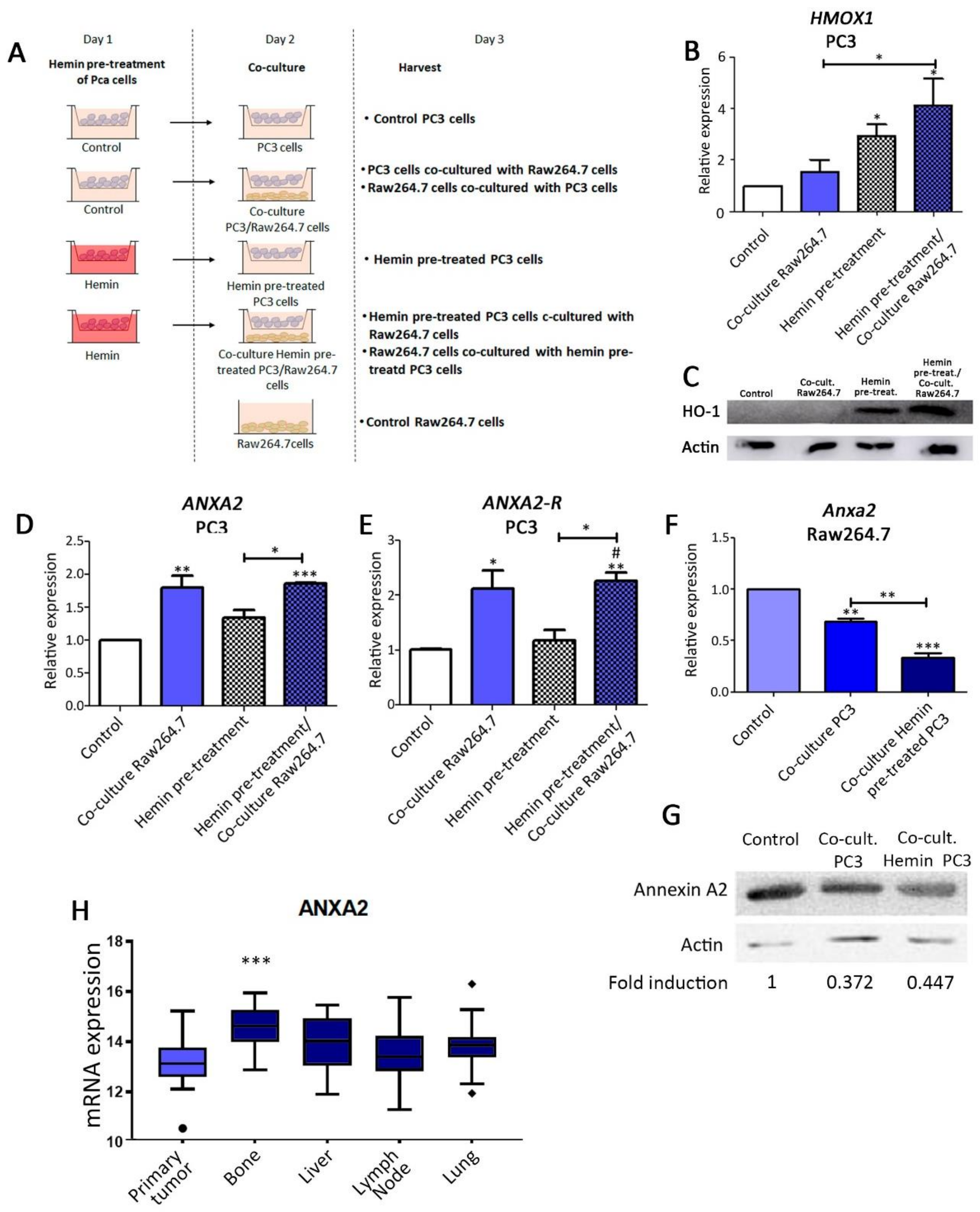Biomolecules 10 00467 g001