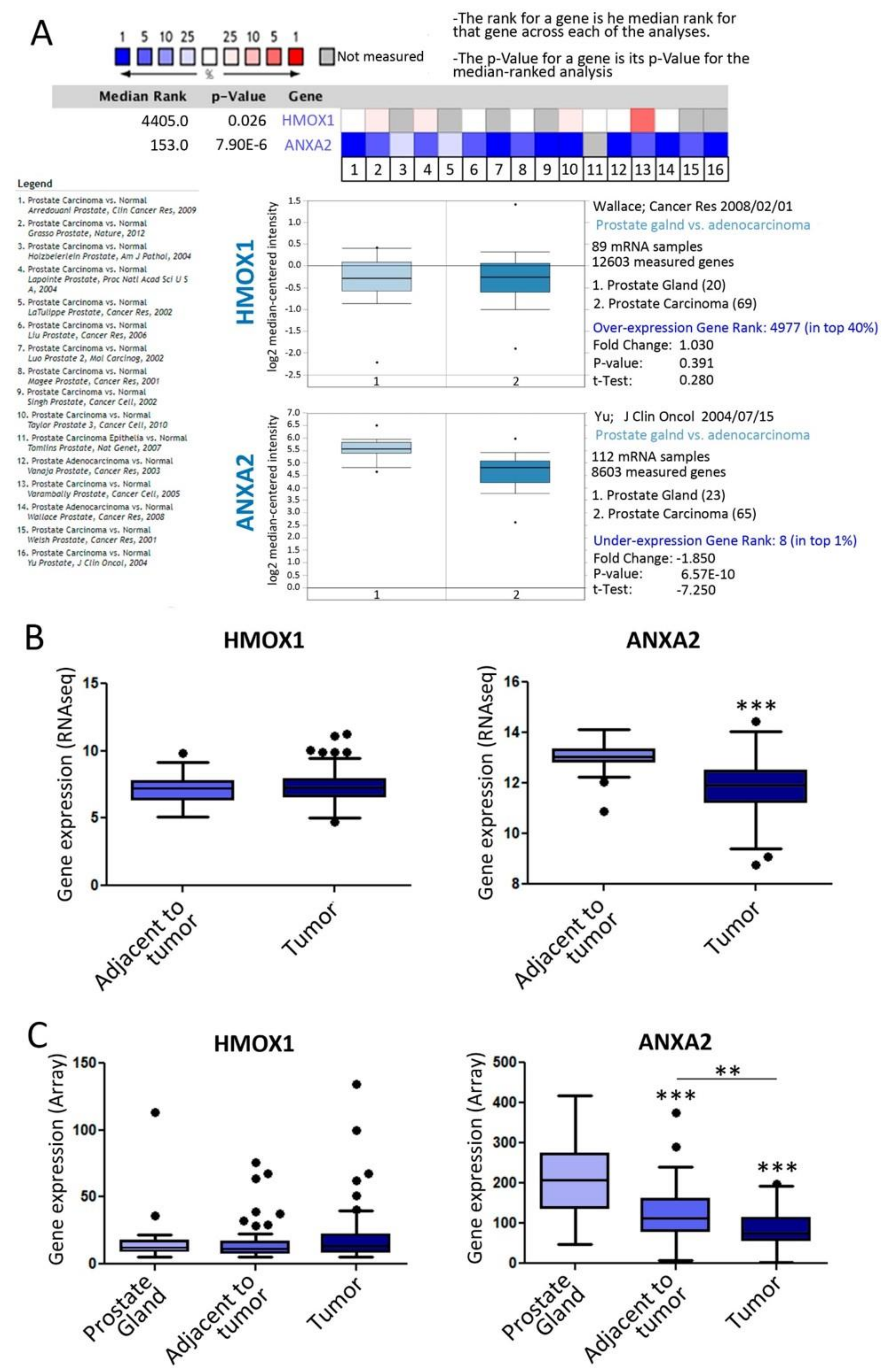 Biomolecules 10 00467 g004