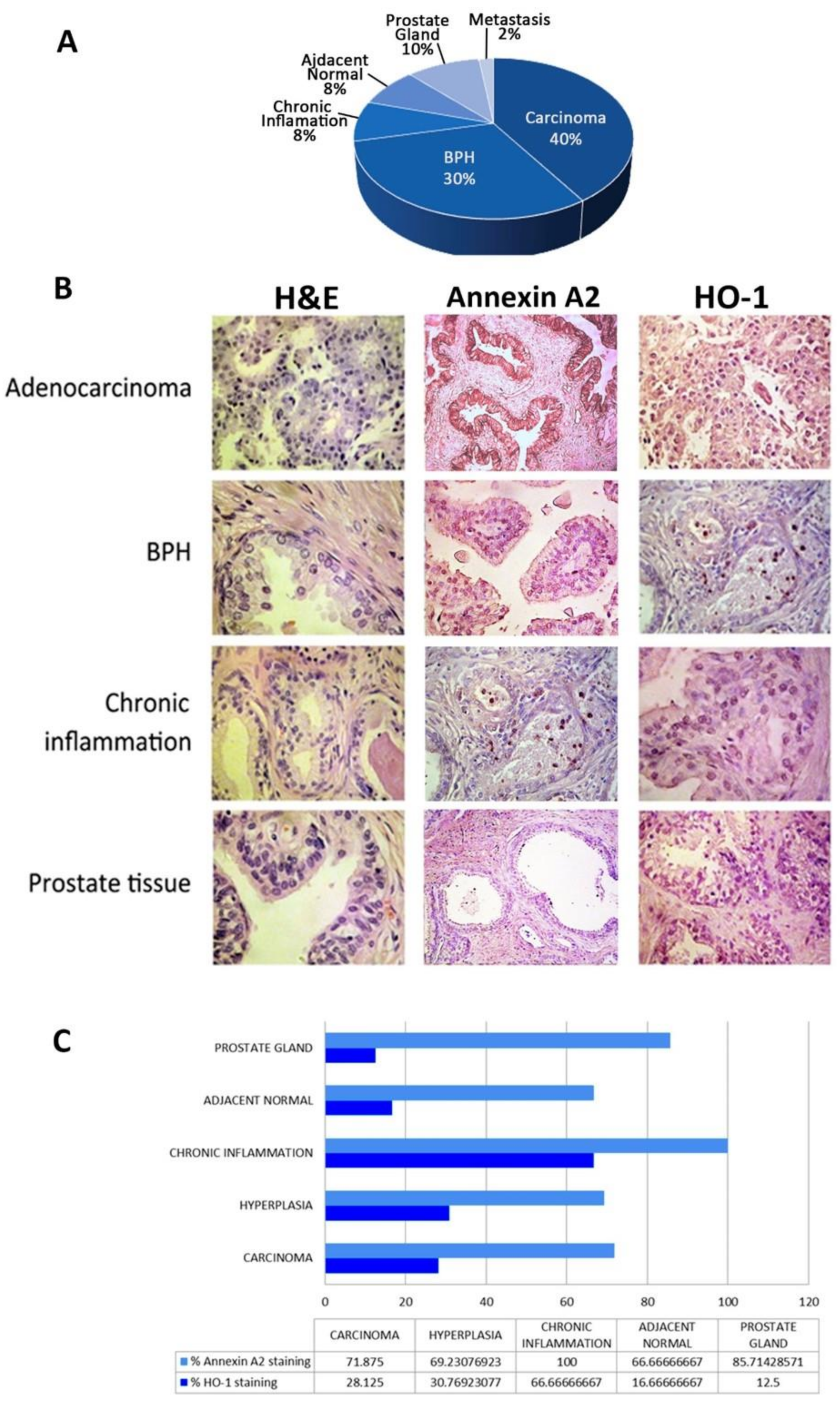 Biomolecules 10 00467 g005