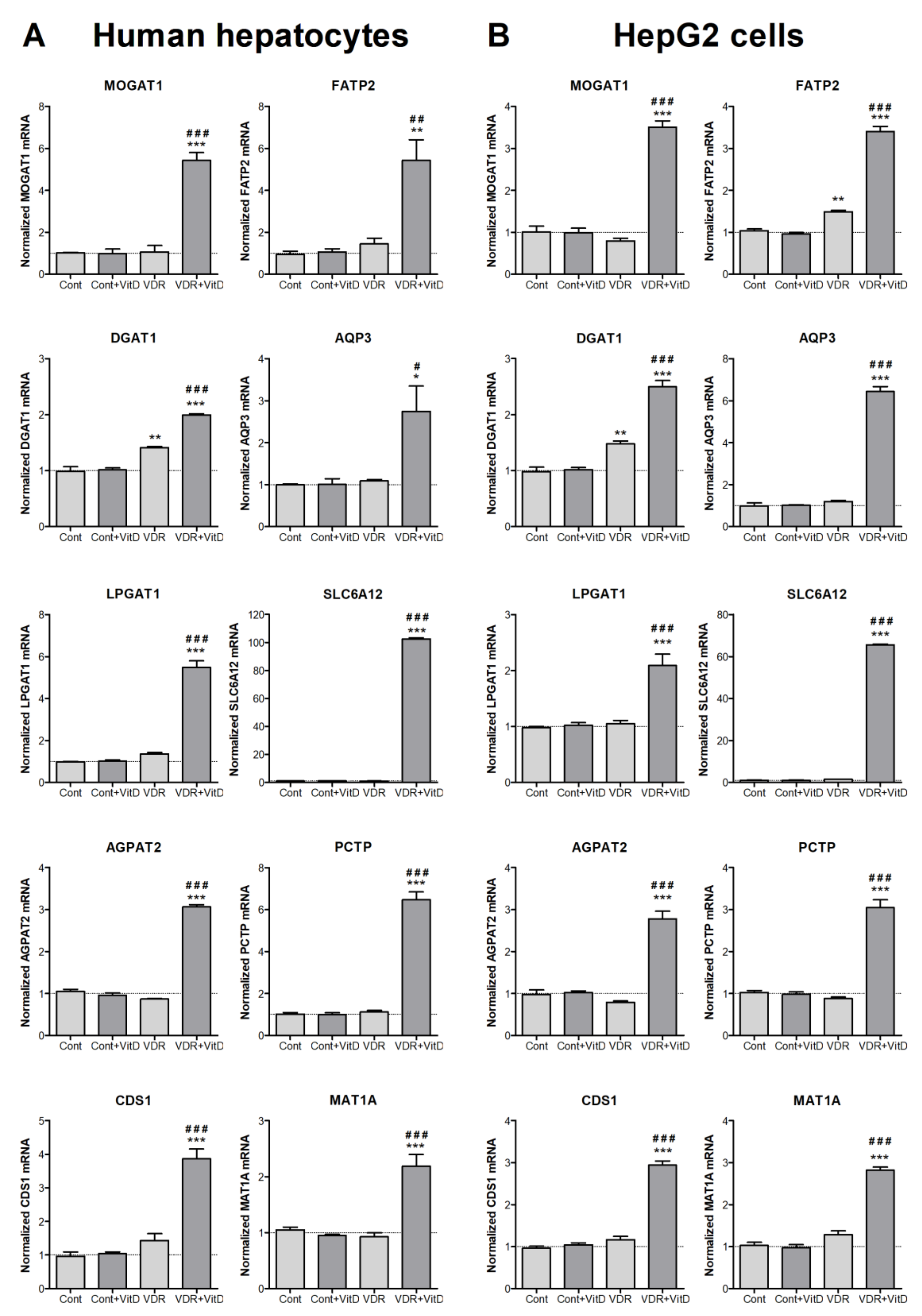 Biomolecules 10 00493 g002 Biomolecules 10 00493 g002