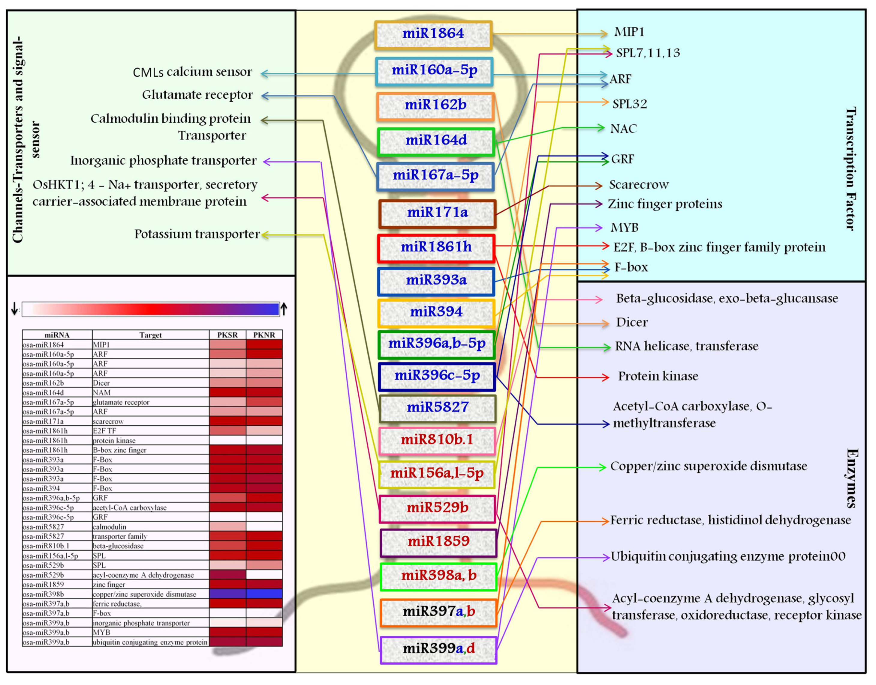 Biomolecules 10 00498 g004 Biomolecules 10 00498 g004