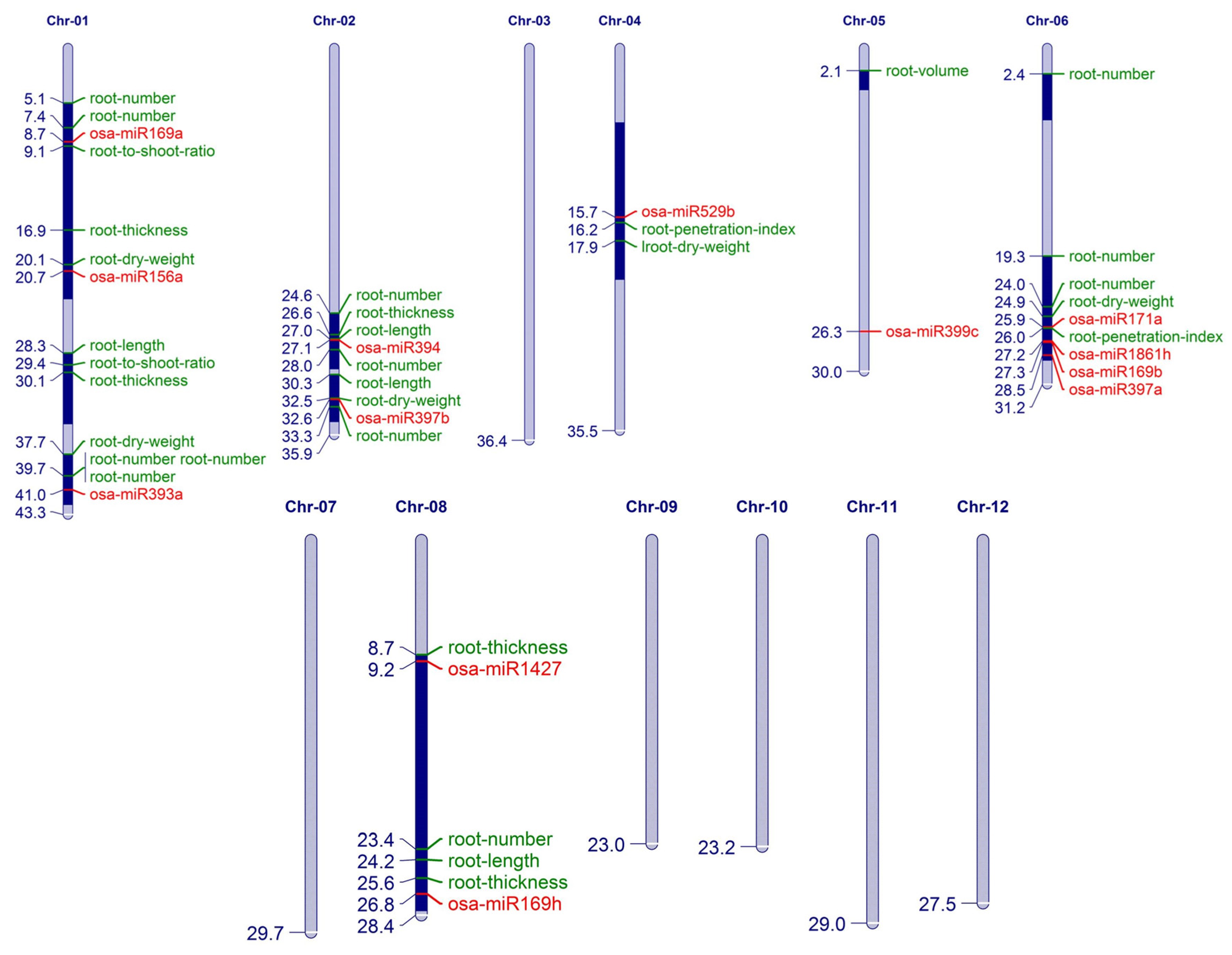 Biomolecules 10 00498 g006 Biomolecules 10 00498 g006