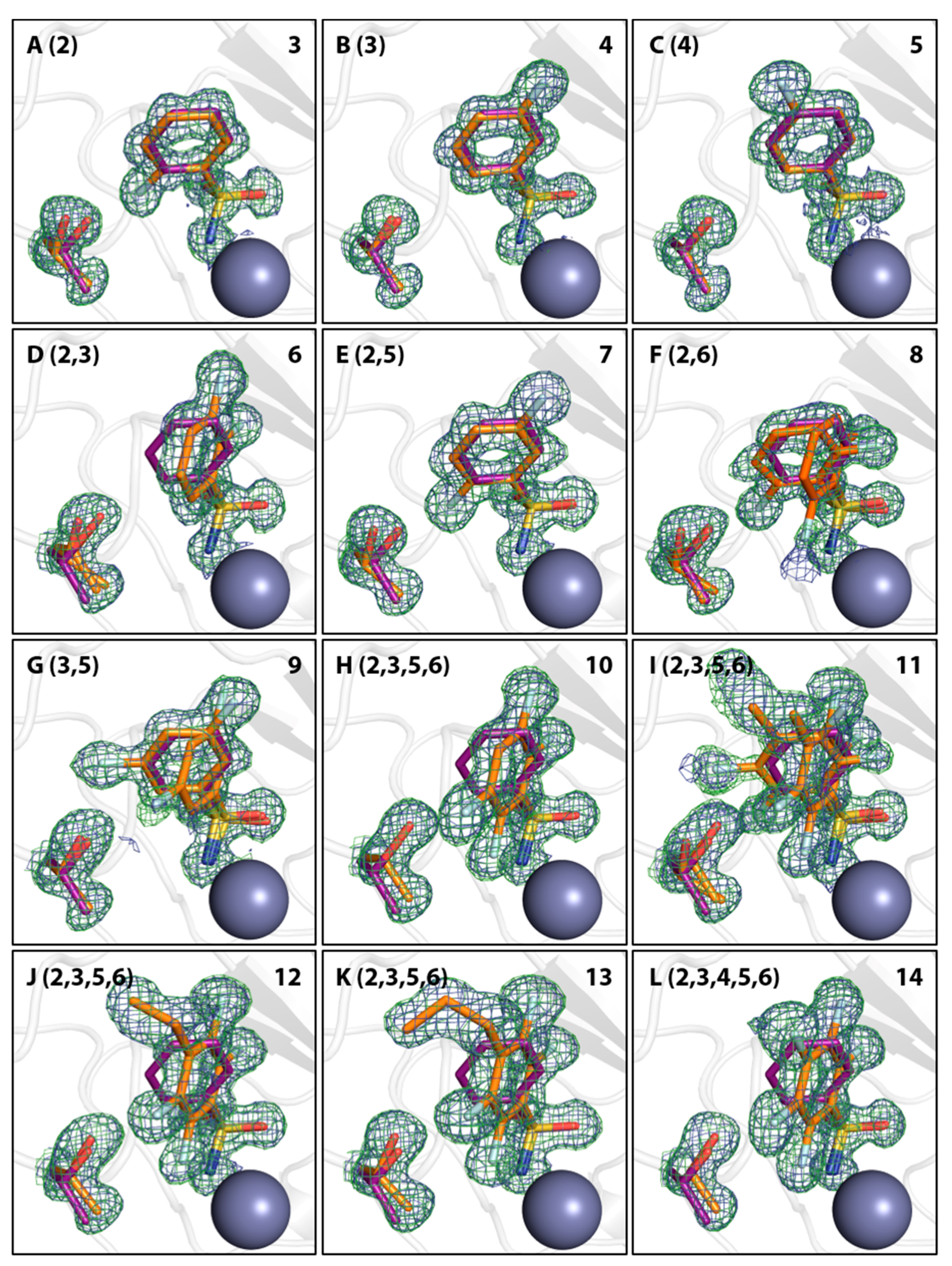 Biomolecules 10 00509 g002 Biomolecules 10 00509 g002