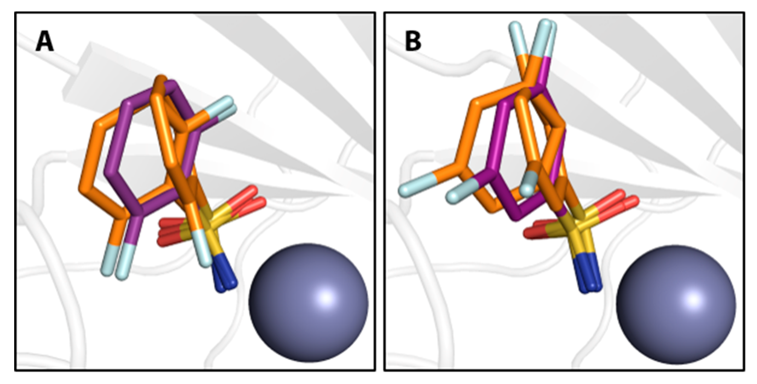 Biomolecules 10 00509 g003 Biomolecules 10 00509 g003