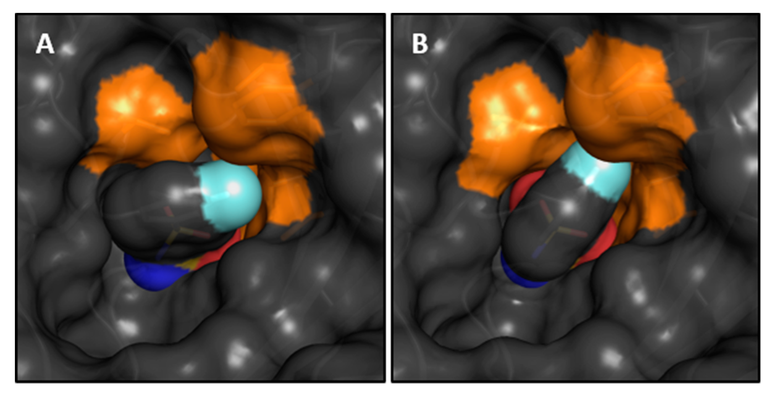 Biomolecules 10 00509 g005 Biomolecules 10 00509 g005