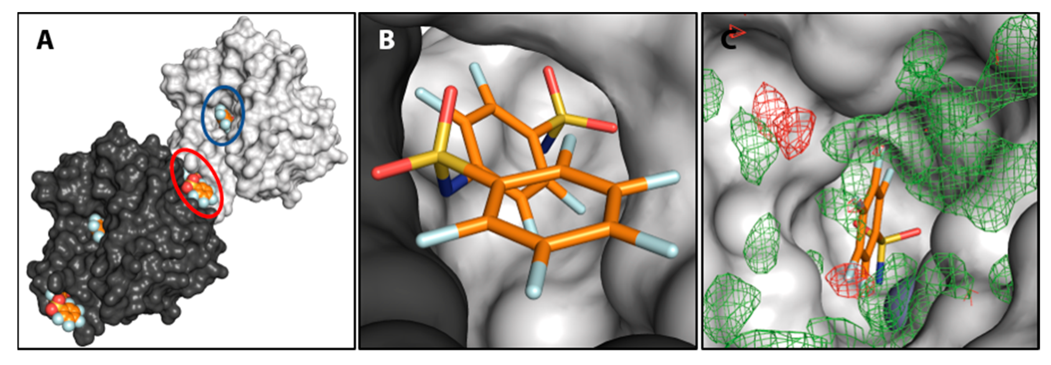 Biomolecules 10 00509 g008 Biomolecules 10 00509 g008