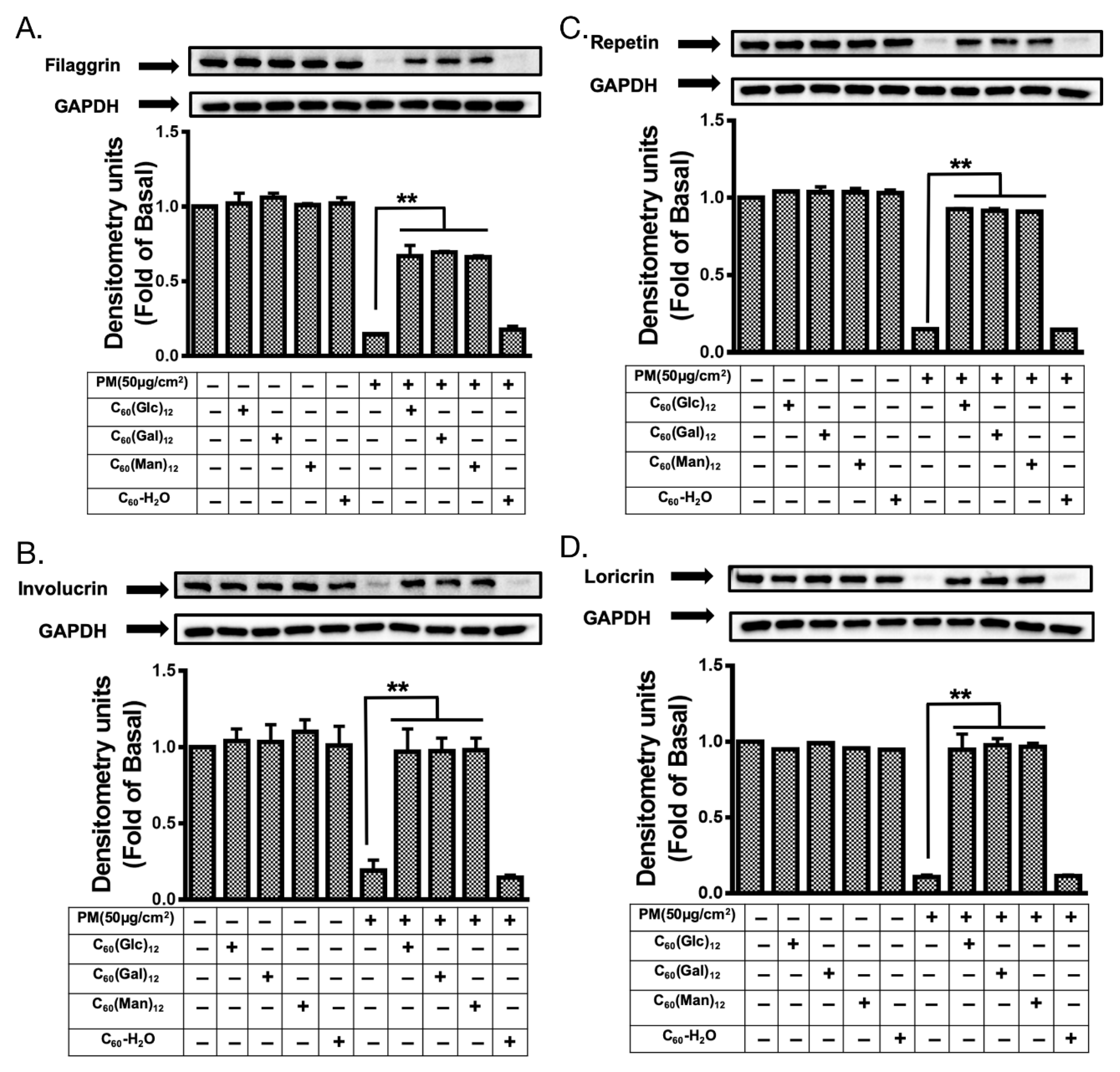 Biomolecules 10 00514 g007 Biomolecules 10 00514 g007