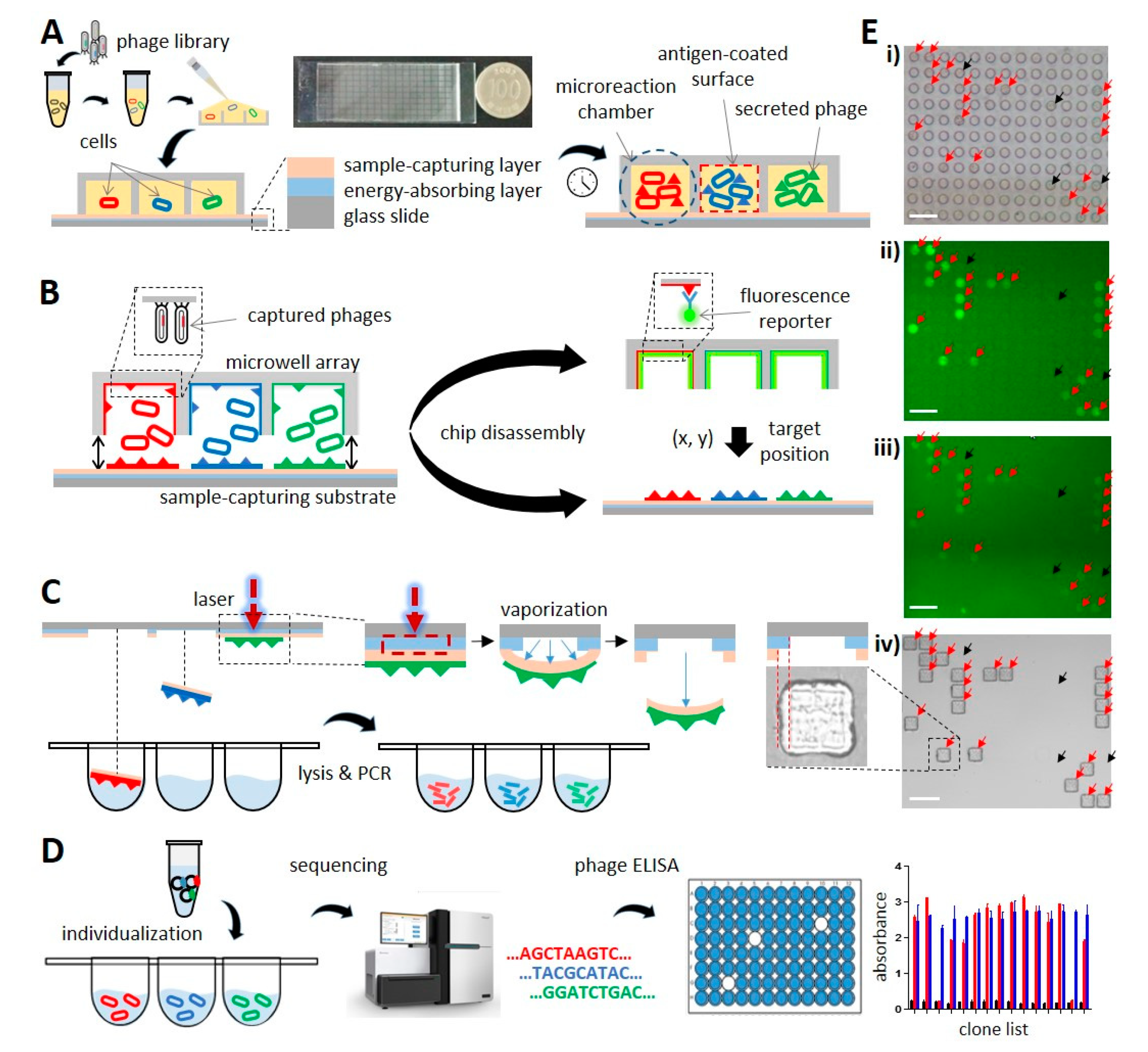 Biomolecules 10 00517 g001 Biomolecules 10 00517 g001