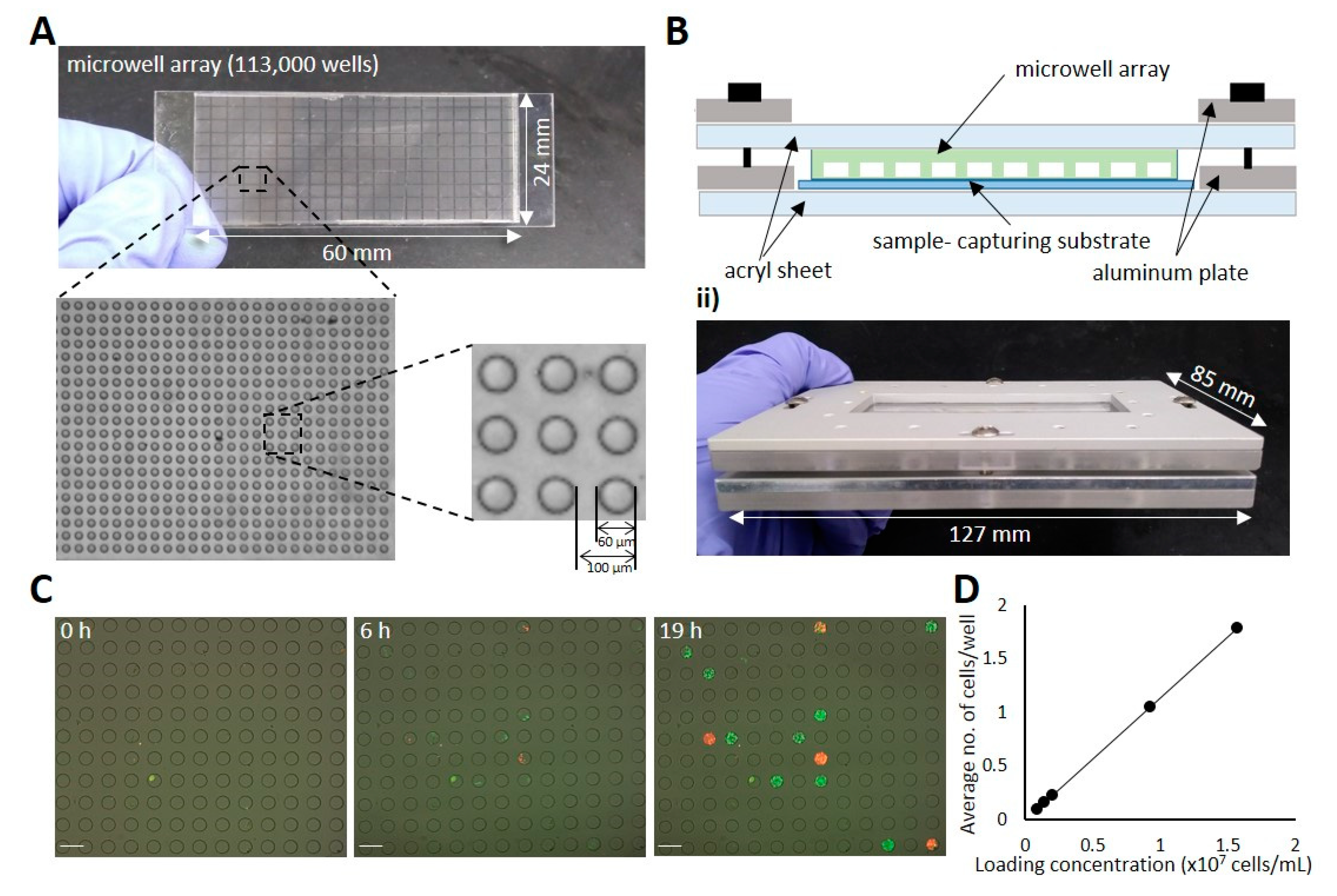 Biomolecules 10 00517 g002 Biomolecules 10 00517 g002