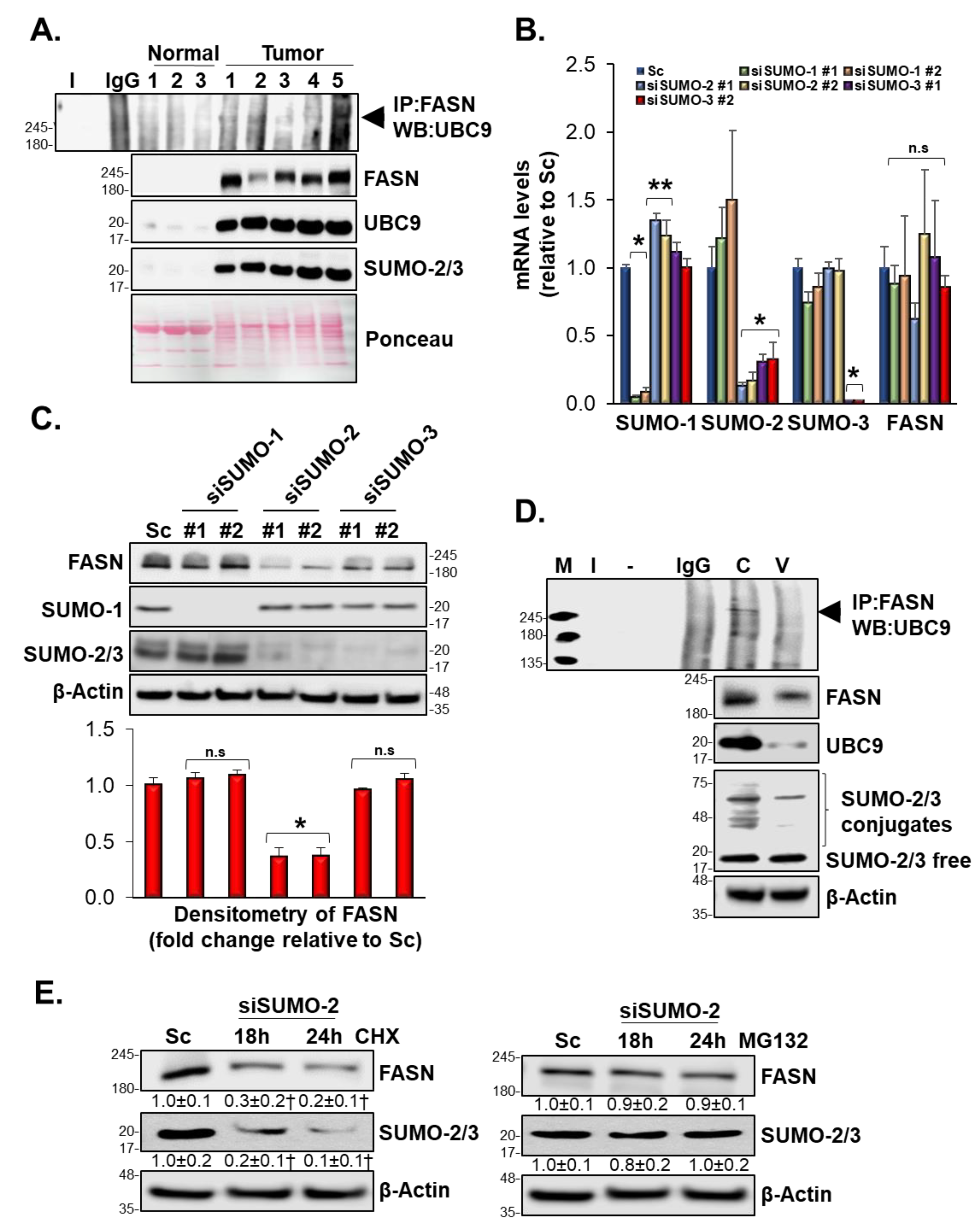 Biomolecules 10 00529 g006