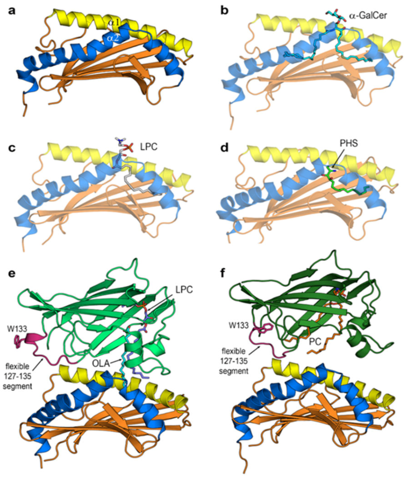 Biomolecules 10 00532 g002