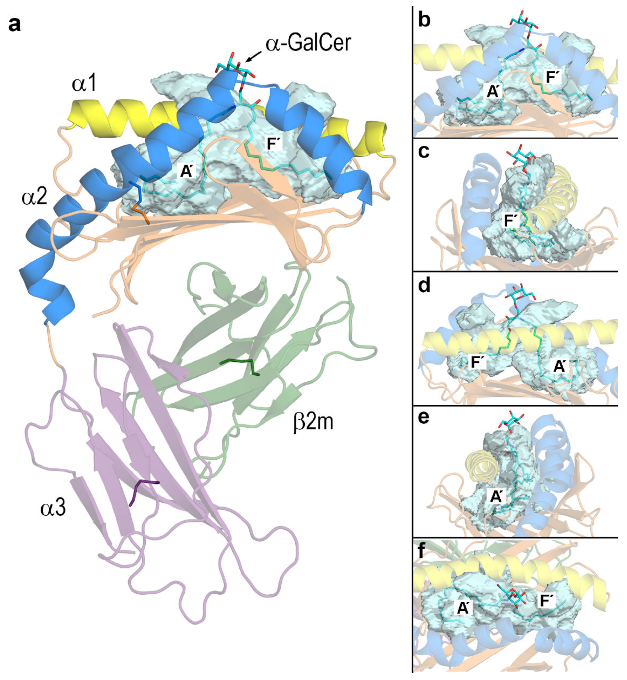 Biomolecules 10 00532 g003