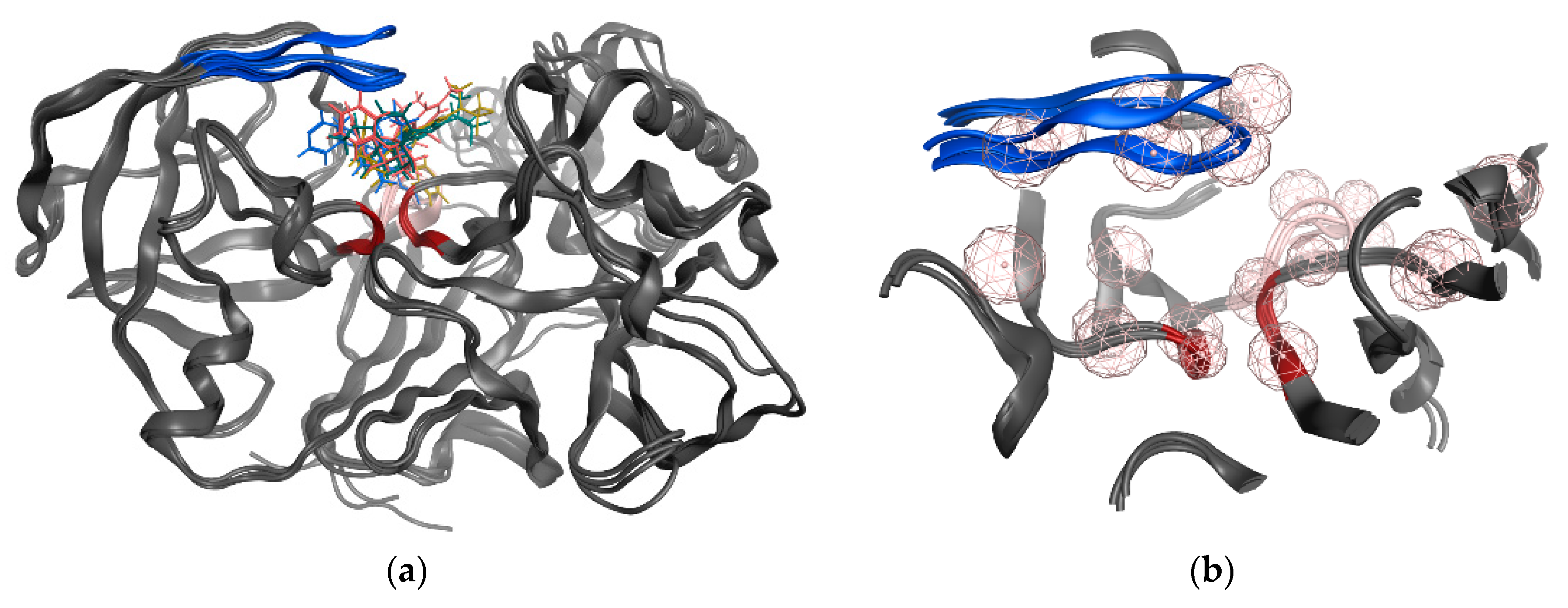 Biomolecules 10 00535 g003 Biomolecules 10 00535 g003