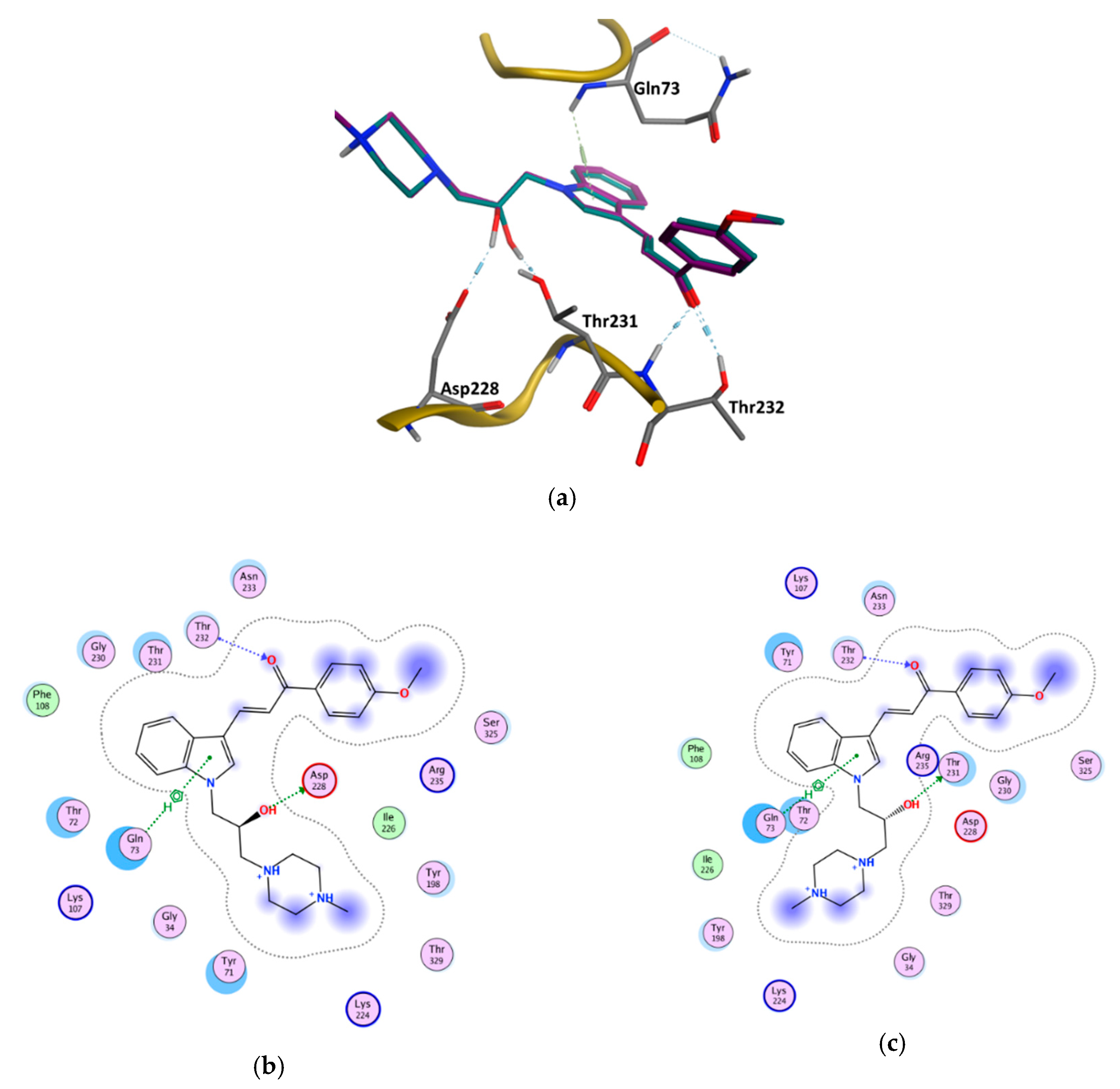 Biomolecules 10 00535 g009 Biomolecules 10 00535 g009