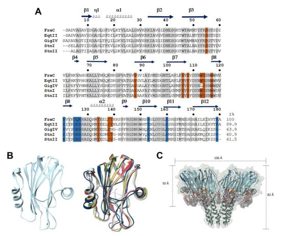 Biomolecules Free Full Text Actinoporins From The Structure And Function To The Generation Of Biotechnological And Therapeutic Tools Html