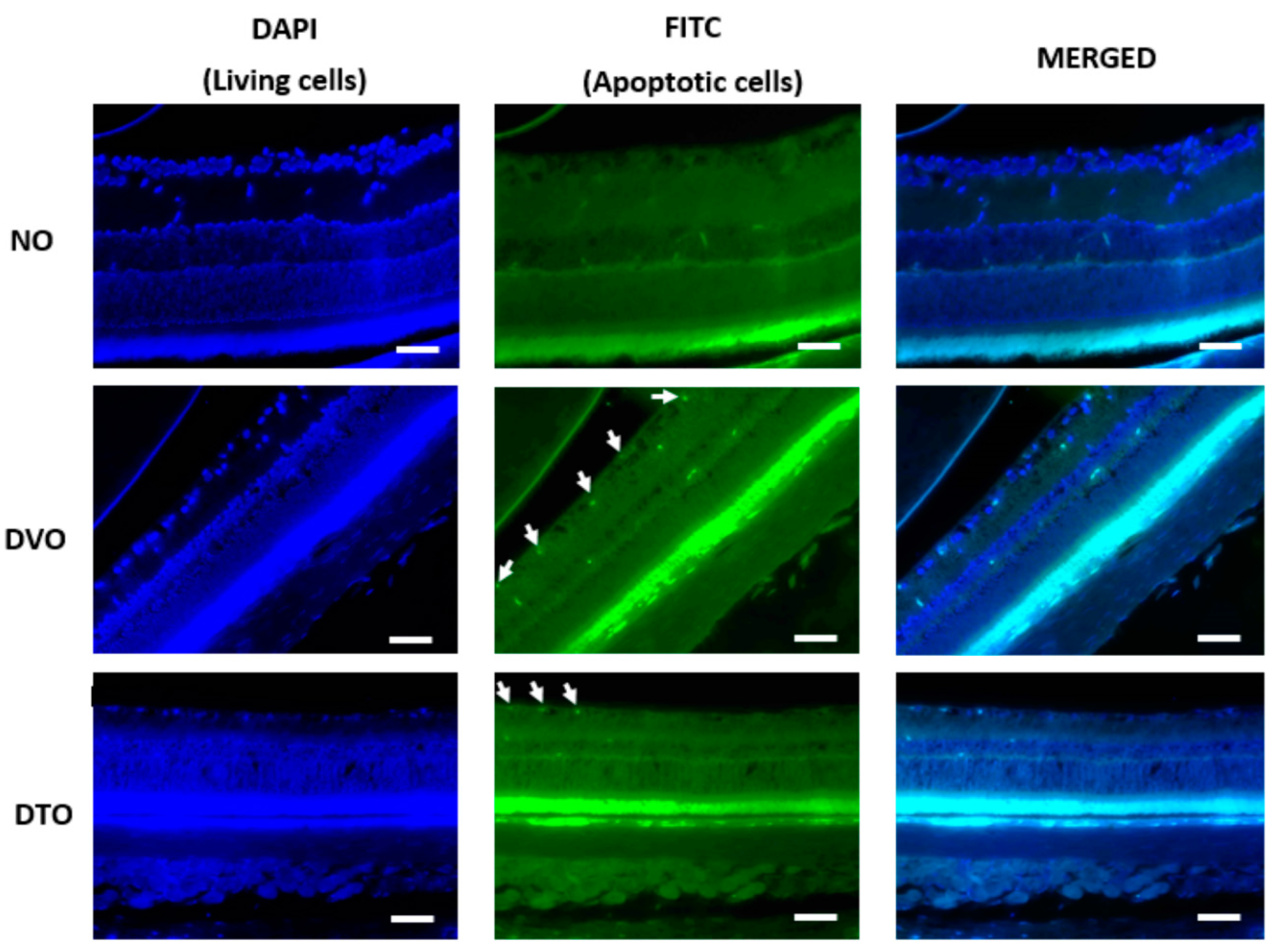 Biomolecules 10 00556 g006