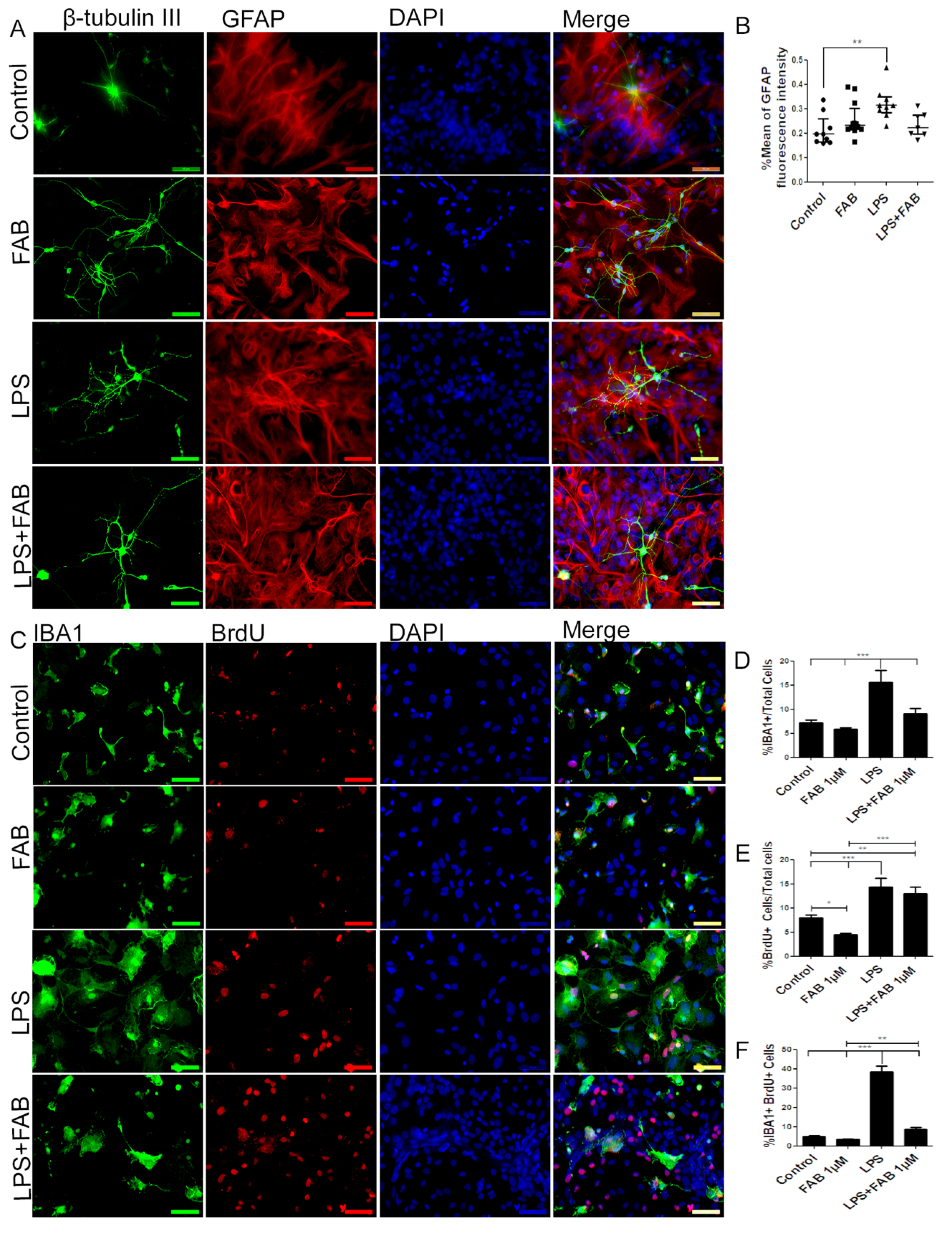 Biomolecules 10 00562 g002 Biomolecules 10 00562 g002