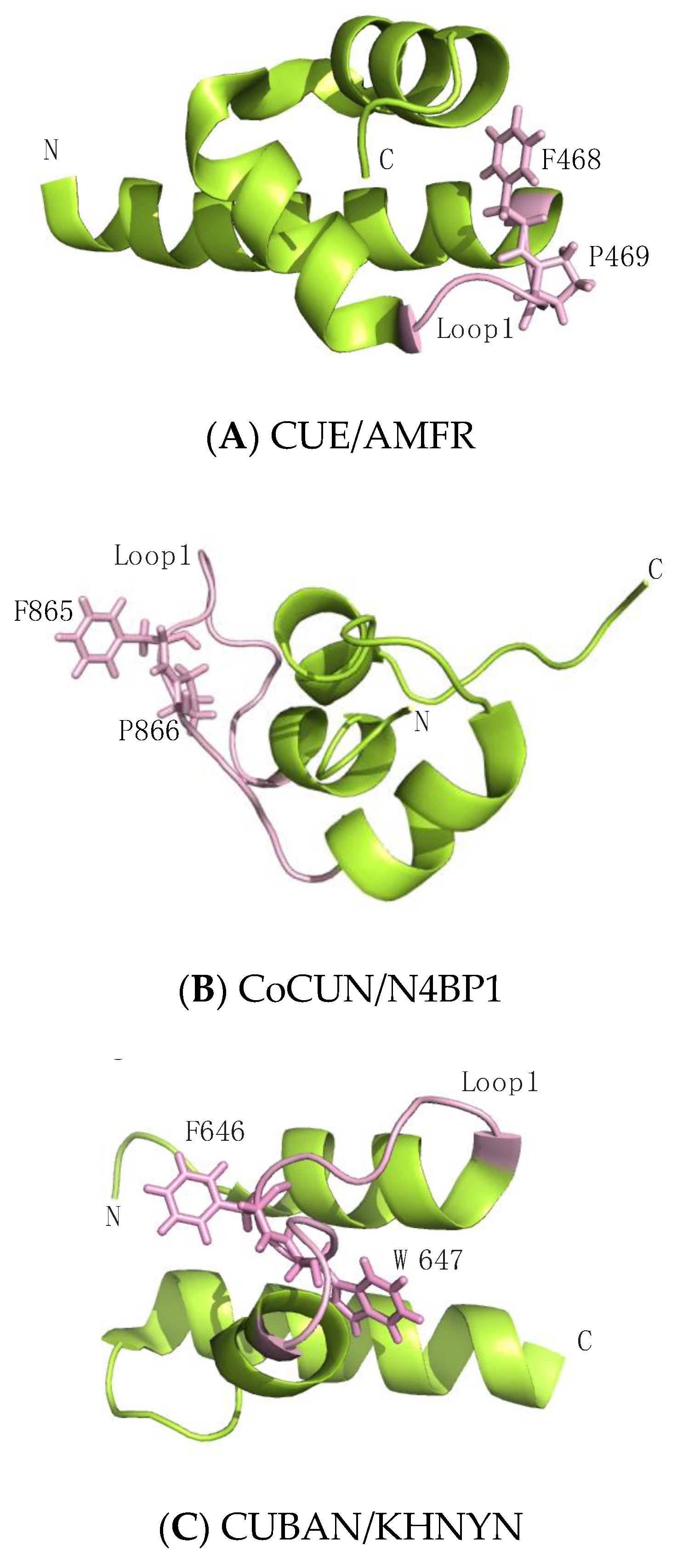 Biomolecules 10 00566 g003 Biomolecules 10 00566 g003