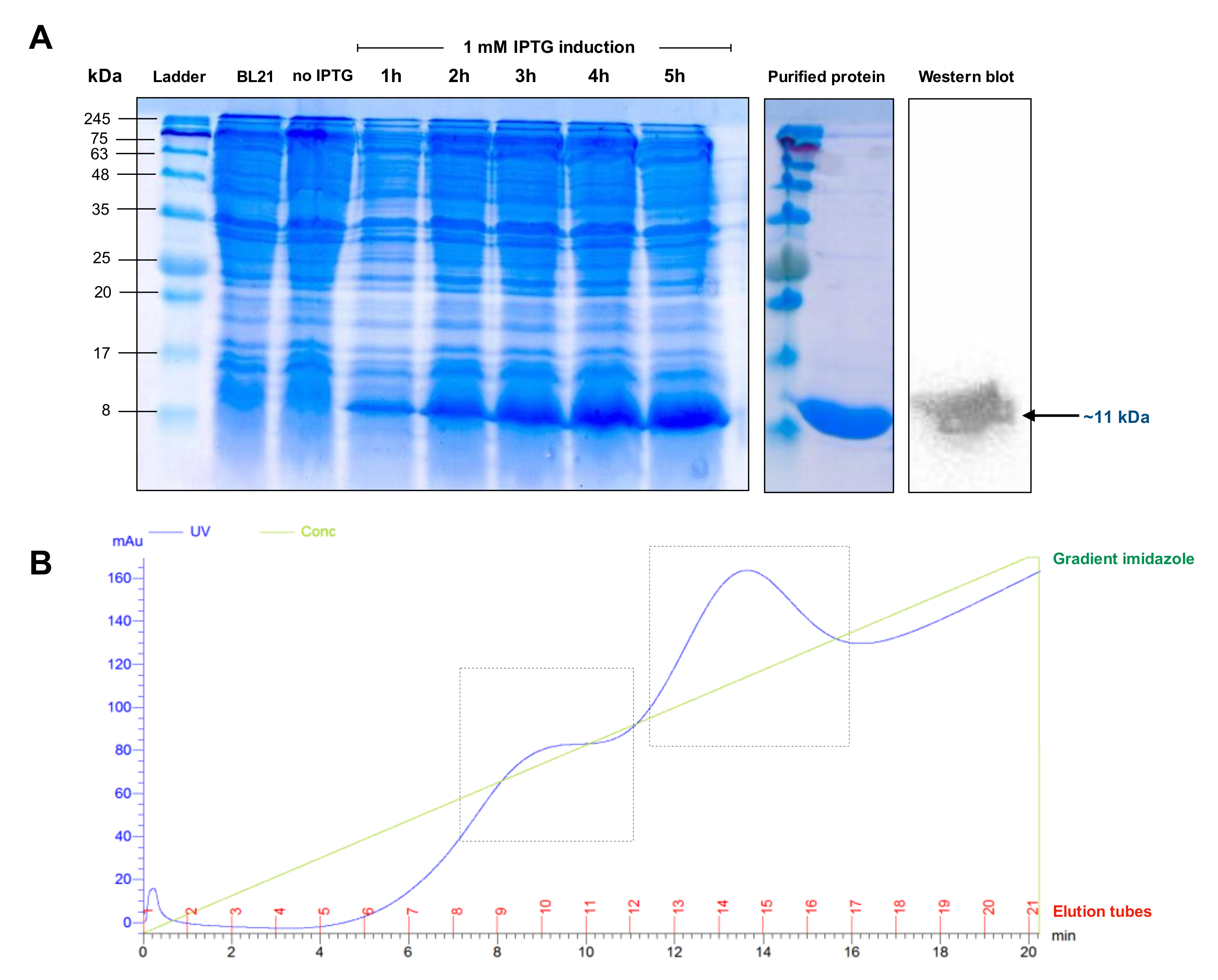 Biomolecules 10 00567 g003
