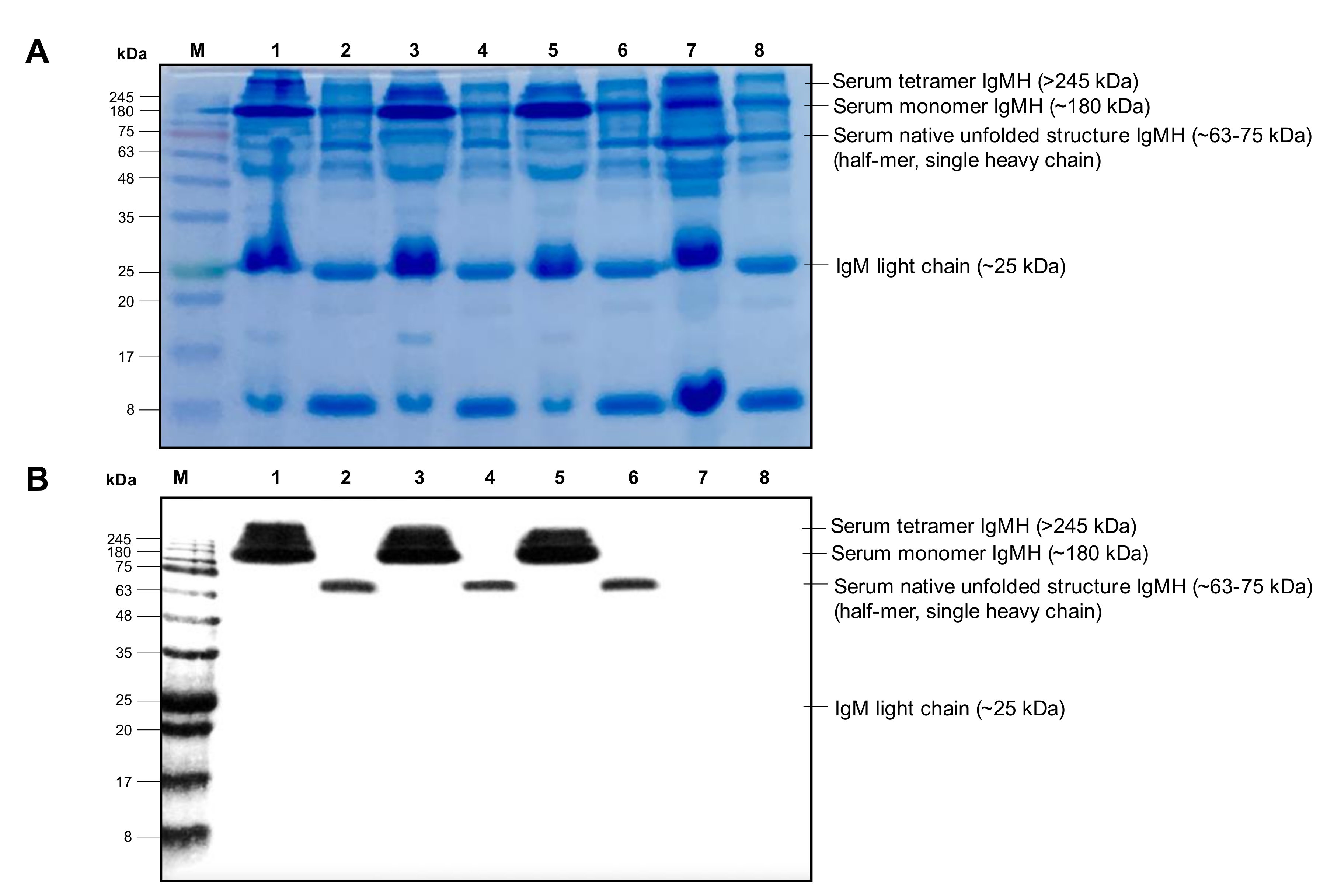 Biomolecules 10 00567 g005