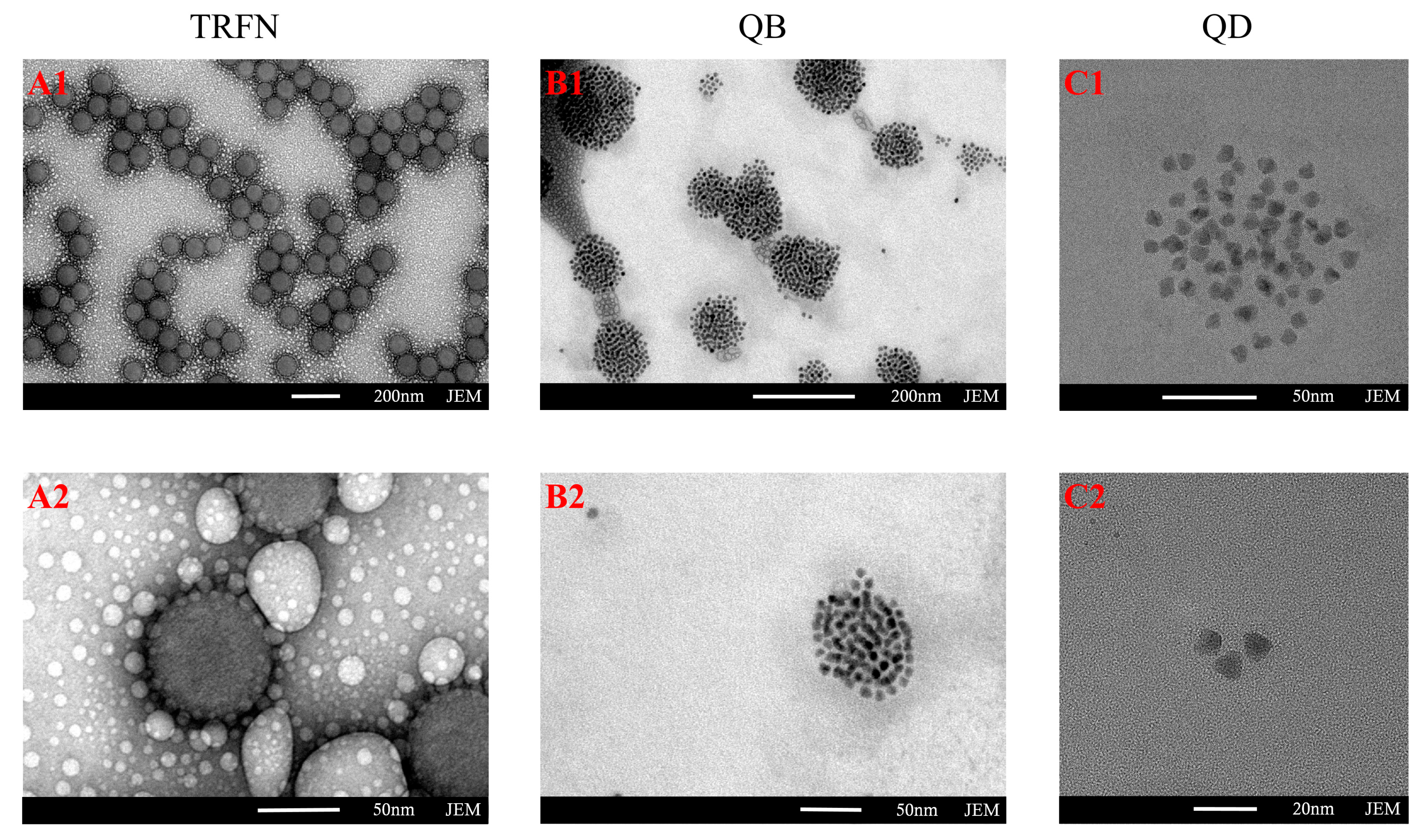 Biomolecules 10 00575 g002 Biomolecules 10 00575 g002