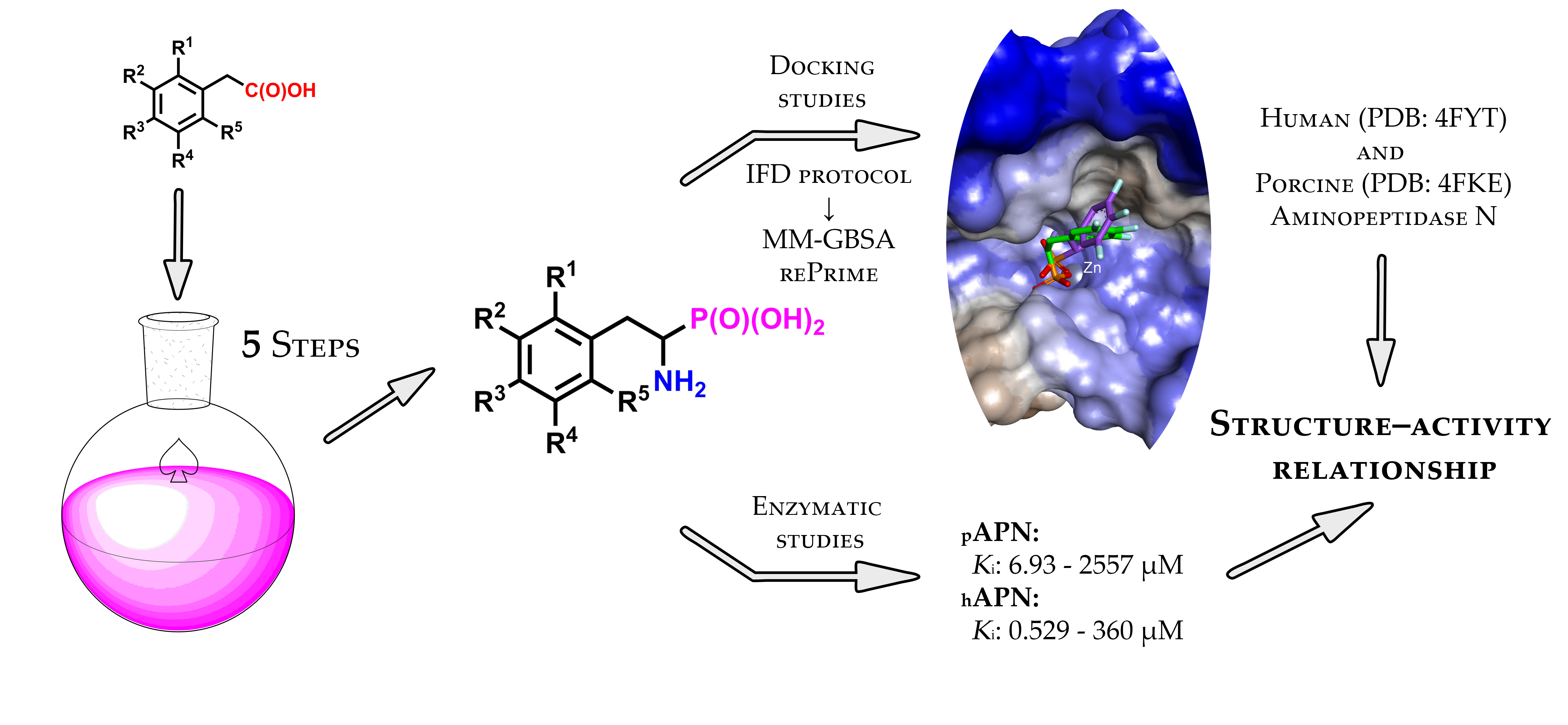 Biomolecules Free Full Text Phosphonic Acid Analogs Of Fluorophenylalanines As Inhibitors Of Human And Porcine Aminopeptidases N Validation Of The Importance Of The Substitution Of The Aromatic Ring Html