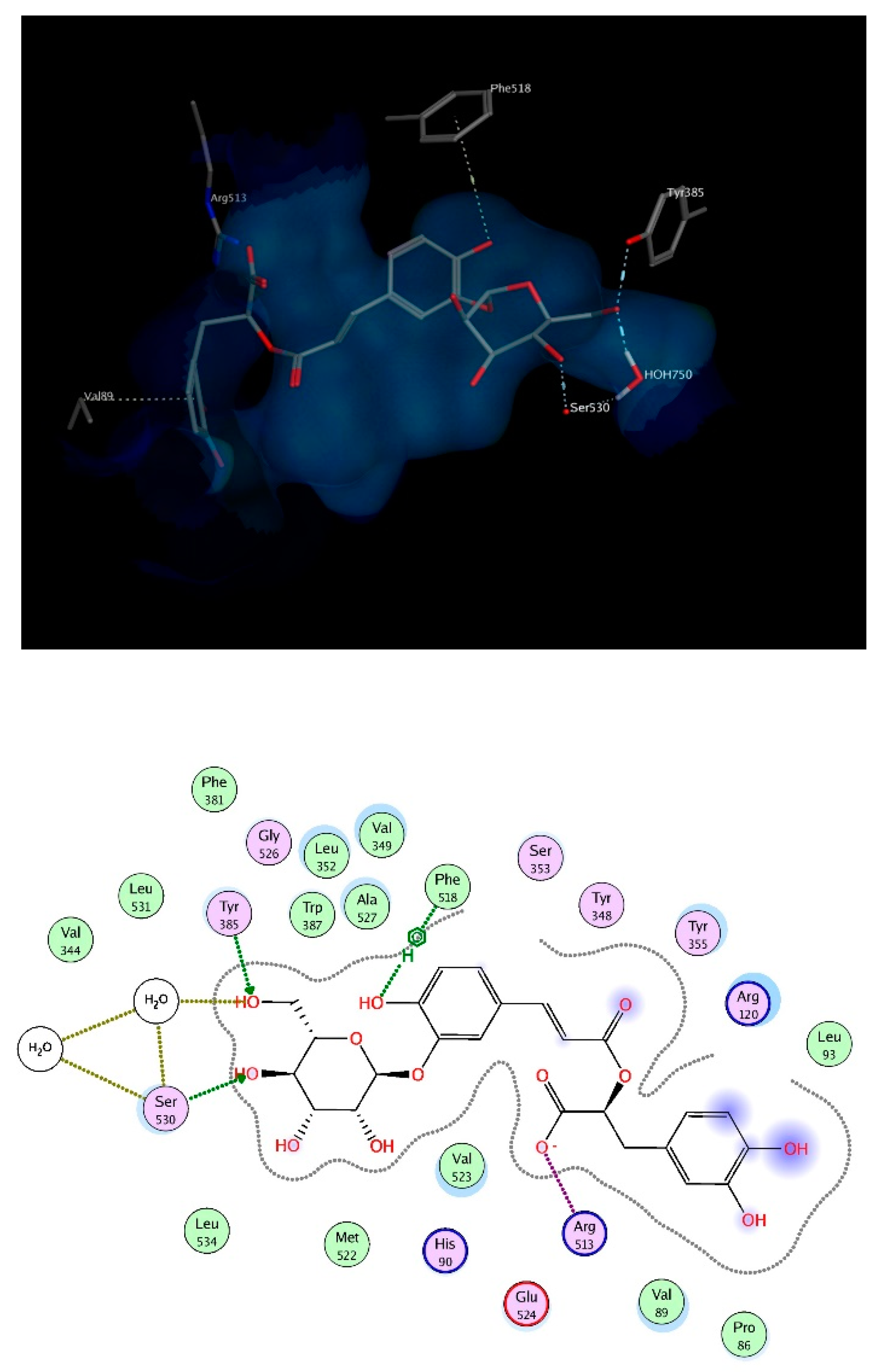 Biomolecules Free Full Text Thymus Algeriensis And Thymus Fontanesii Chemical Composition In Vivo Antiinflammatory Pain Killing And Antipyretic Activities A Comprehensive Comparison Html