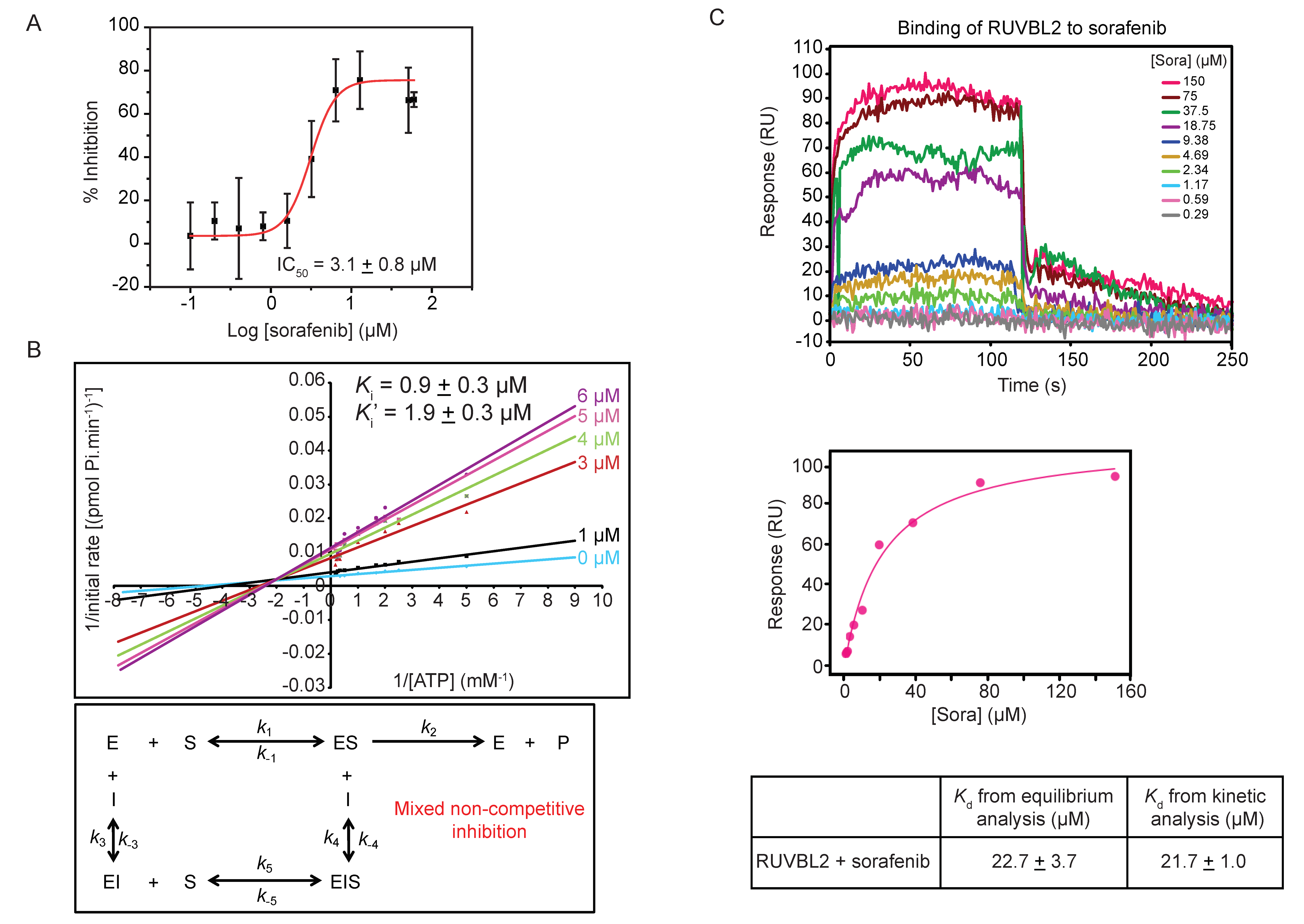 Biomolecules 10 00605 g003