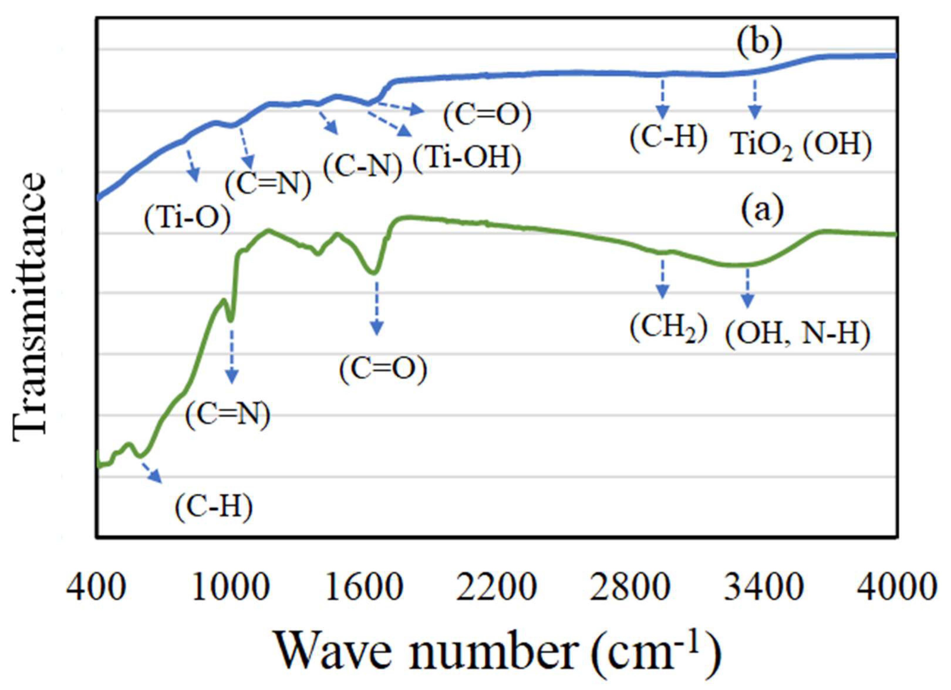 Biomolecules 10 00622 g004