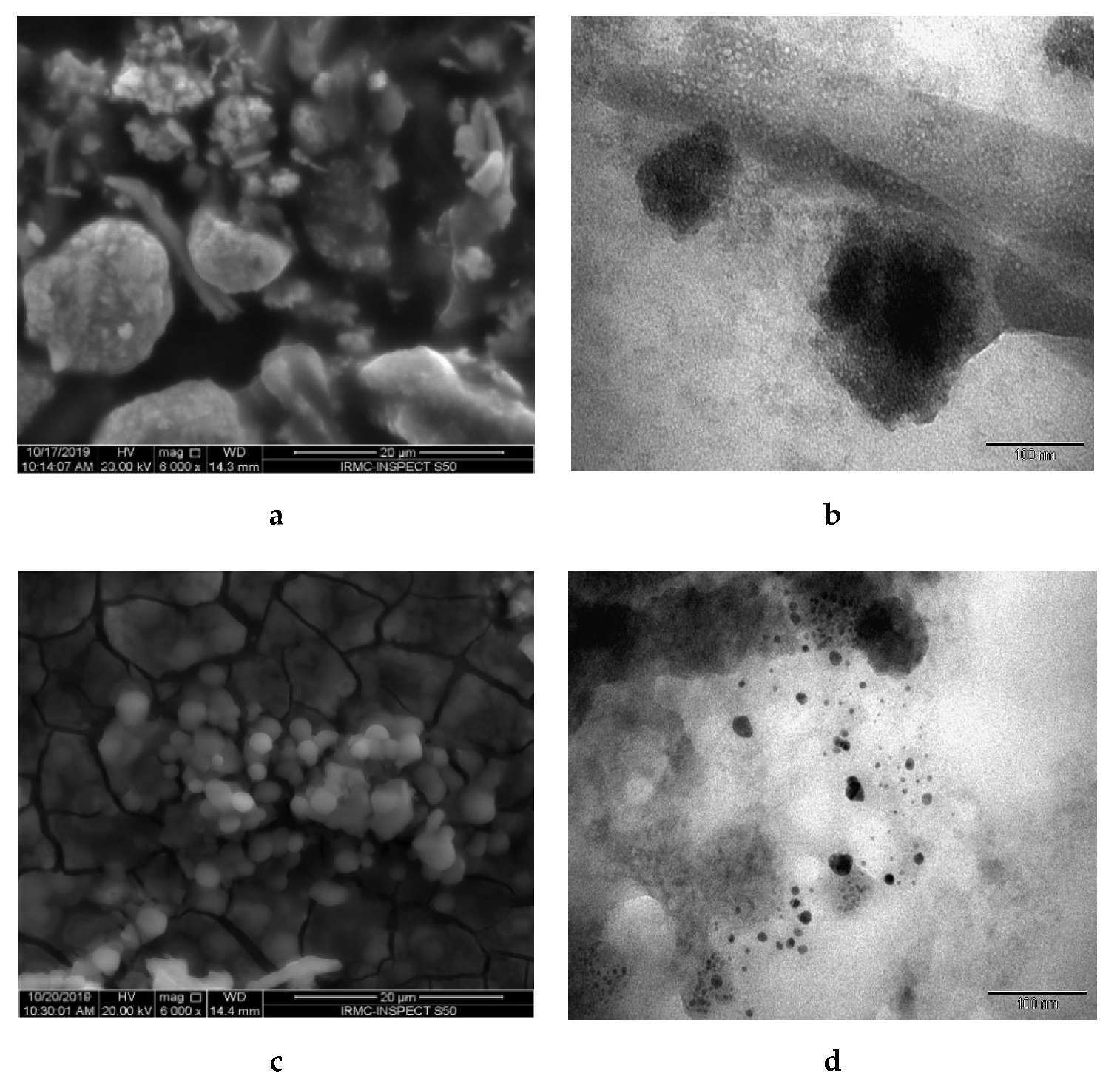 Biomolecules 10 00622 g005