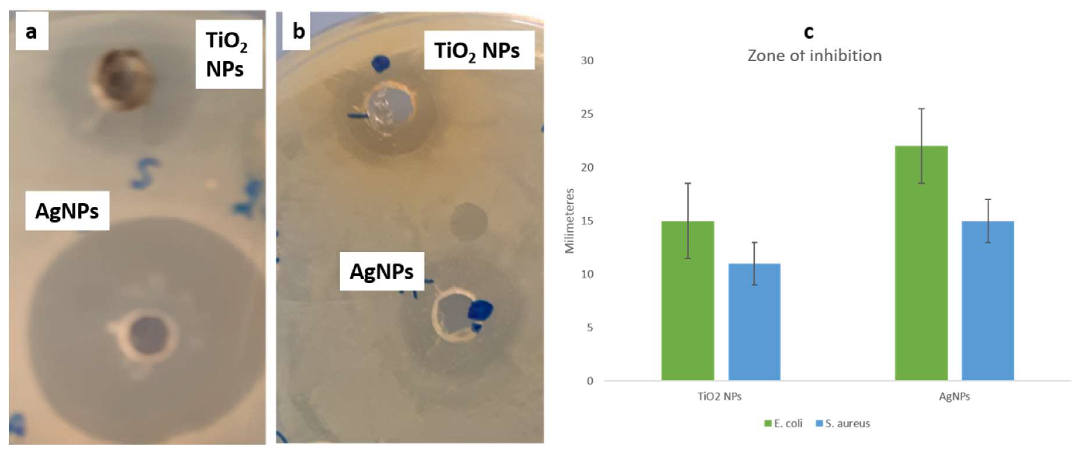 Biomolecules 10 00622 g006