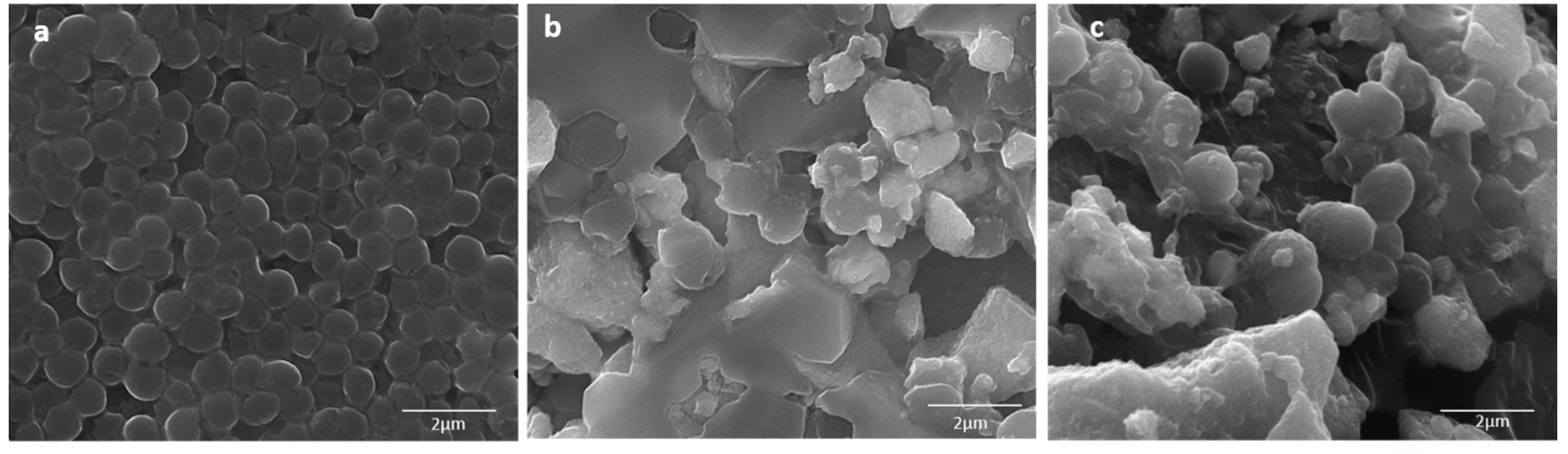 Biomolecules 10 00622 g008