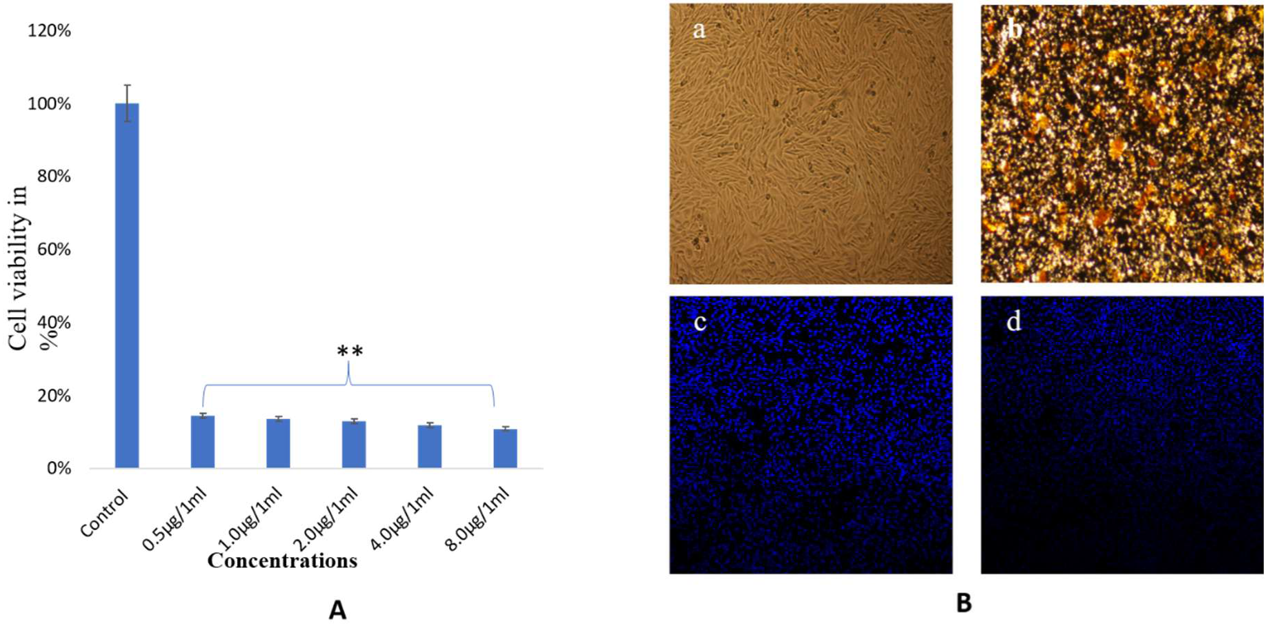 Biomolecules 10 00622 g009
