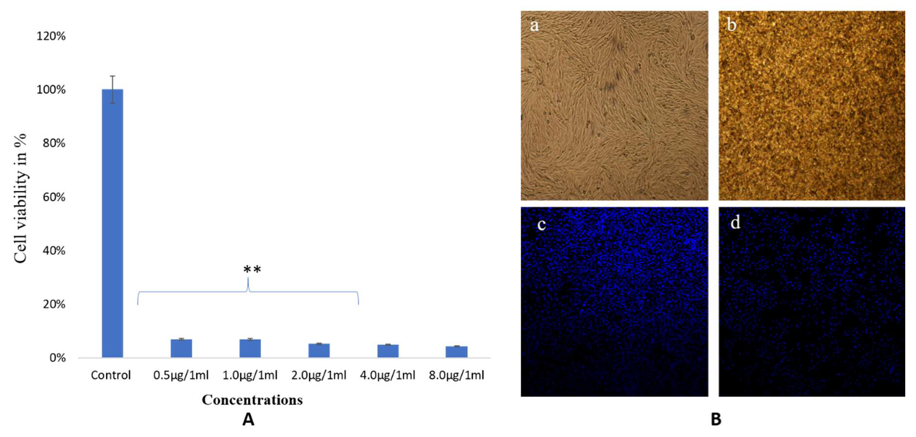 Biomolecules 10 00622 g010