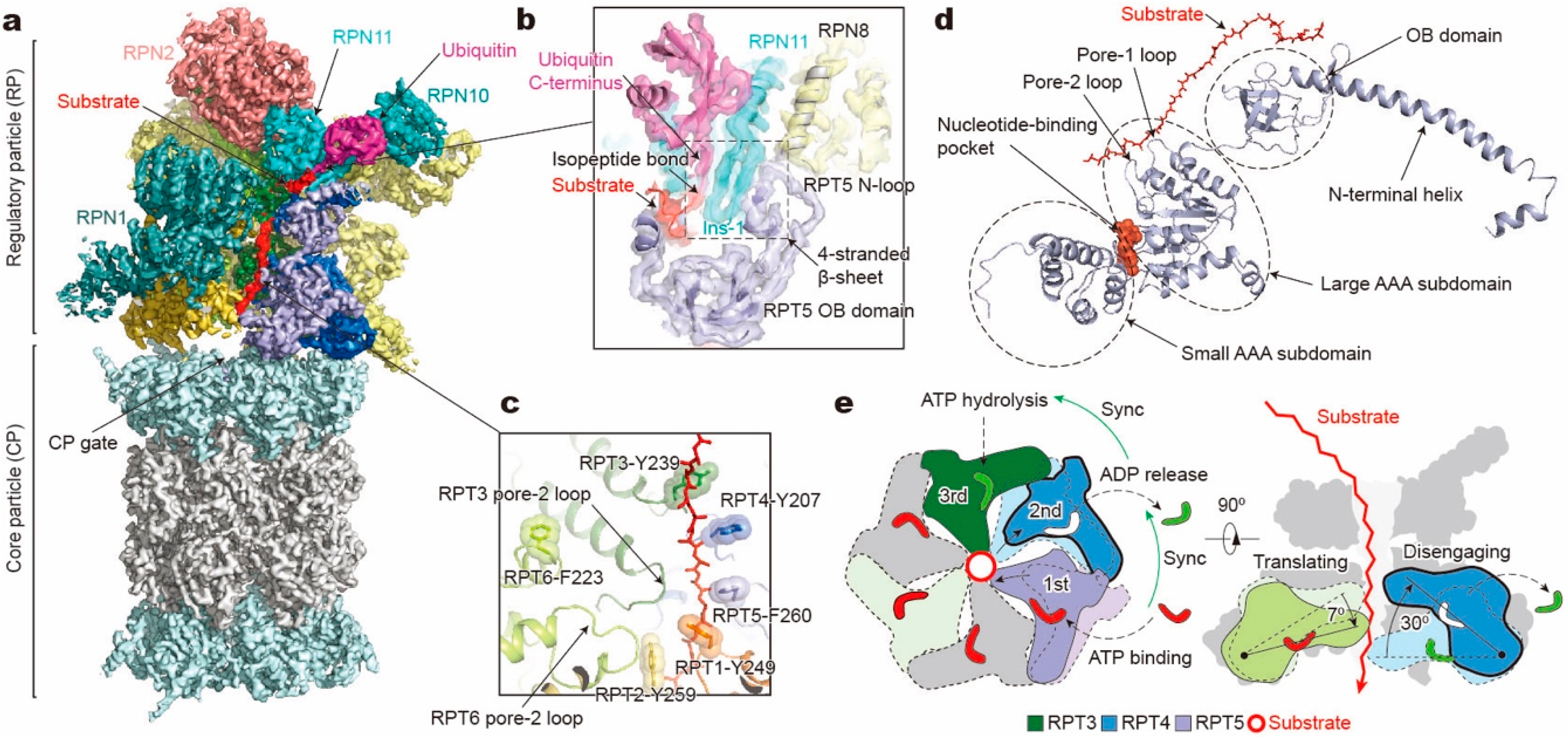 Biomolecules 10 00629 g002
