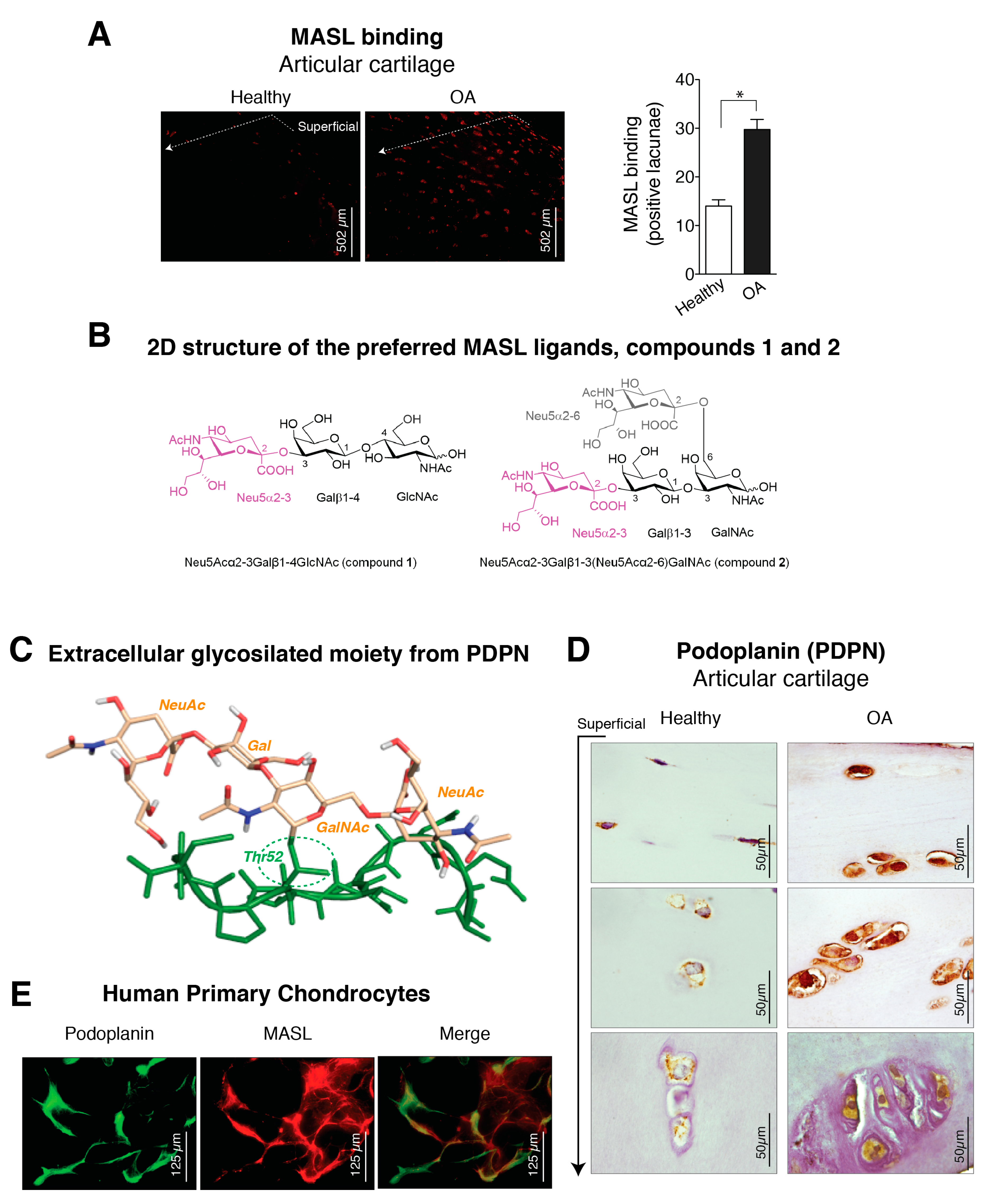 Biomolecules 10 00637 g001