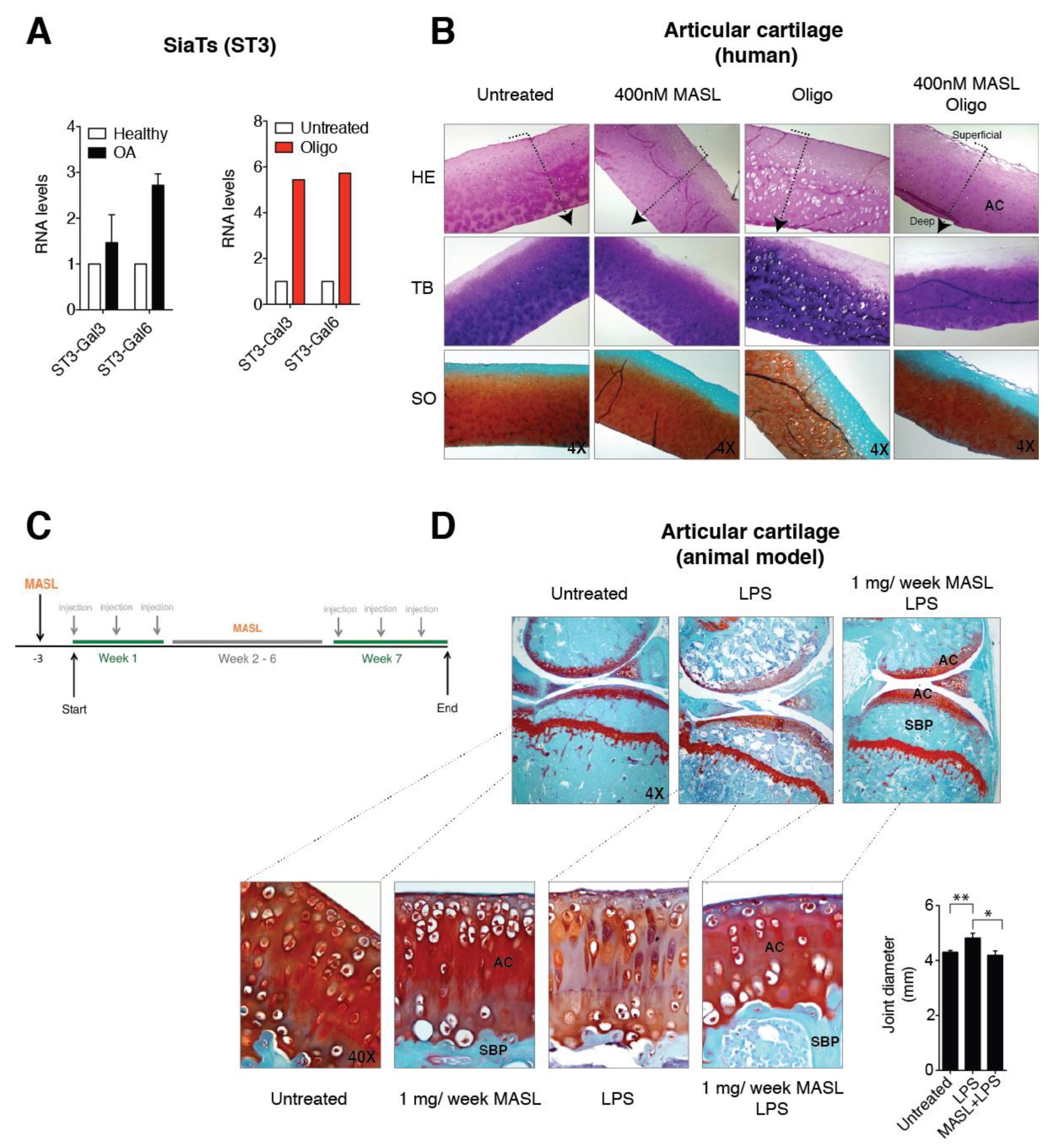 Biomolecules 10 00637 g003