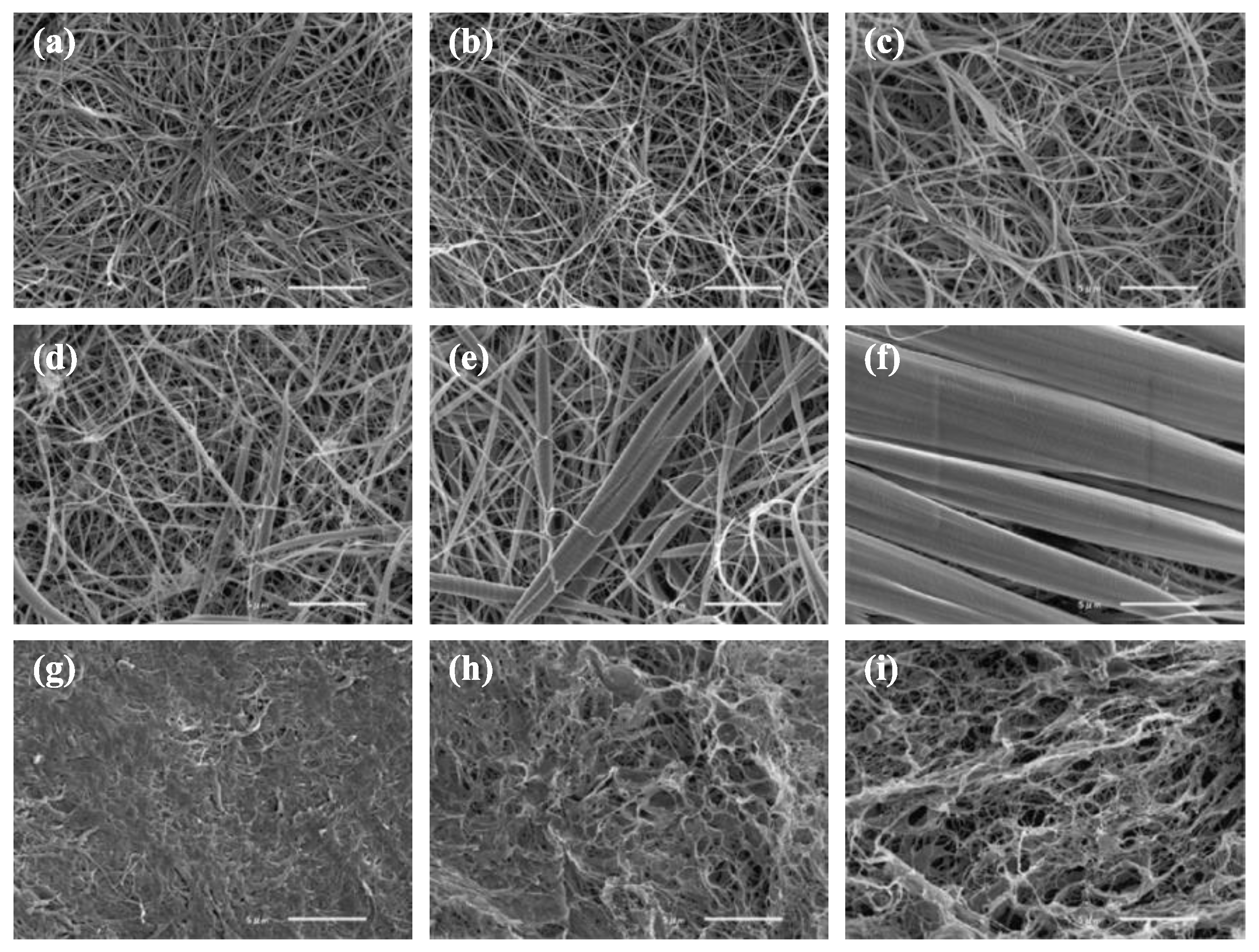 Biomolecules 10 00644 g008 Biomolecules 10 00644 g008