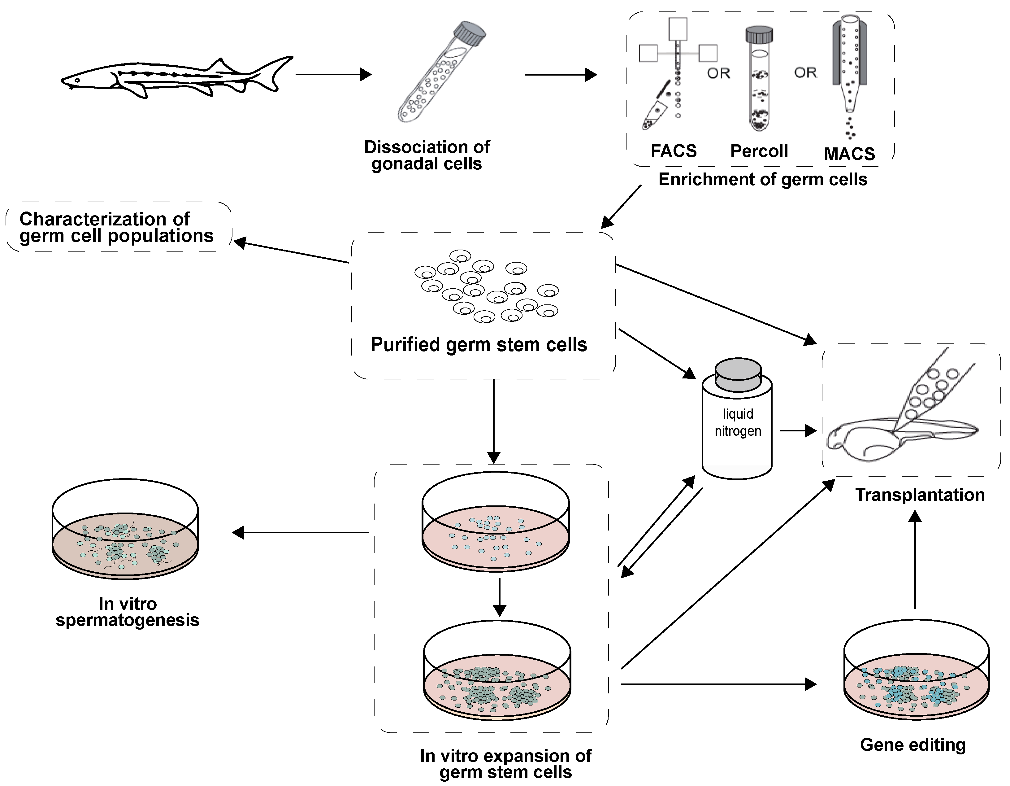 Biomolecules 10 00644 g009 Biomolecules 10 00644 g009