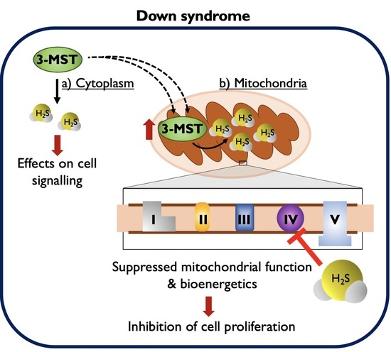 Biomolecules April 2020 Browse Articles